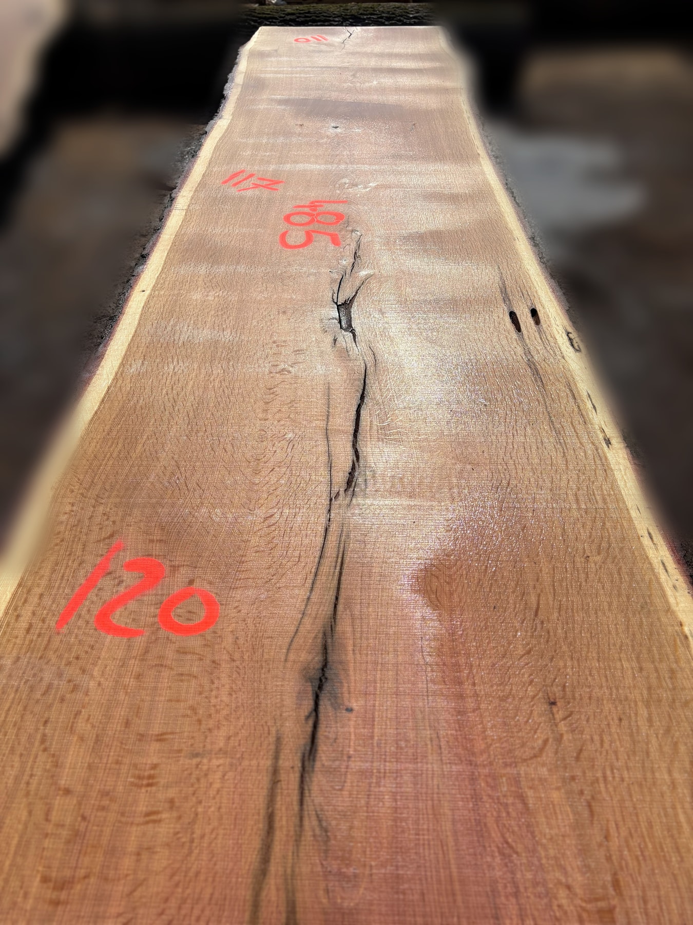 Oak - P5-1815