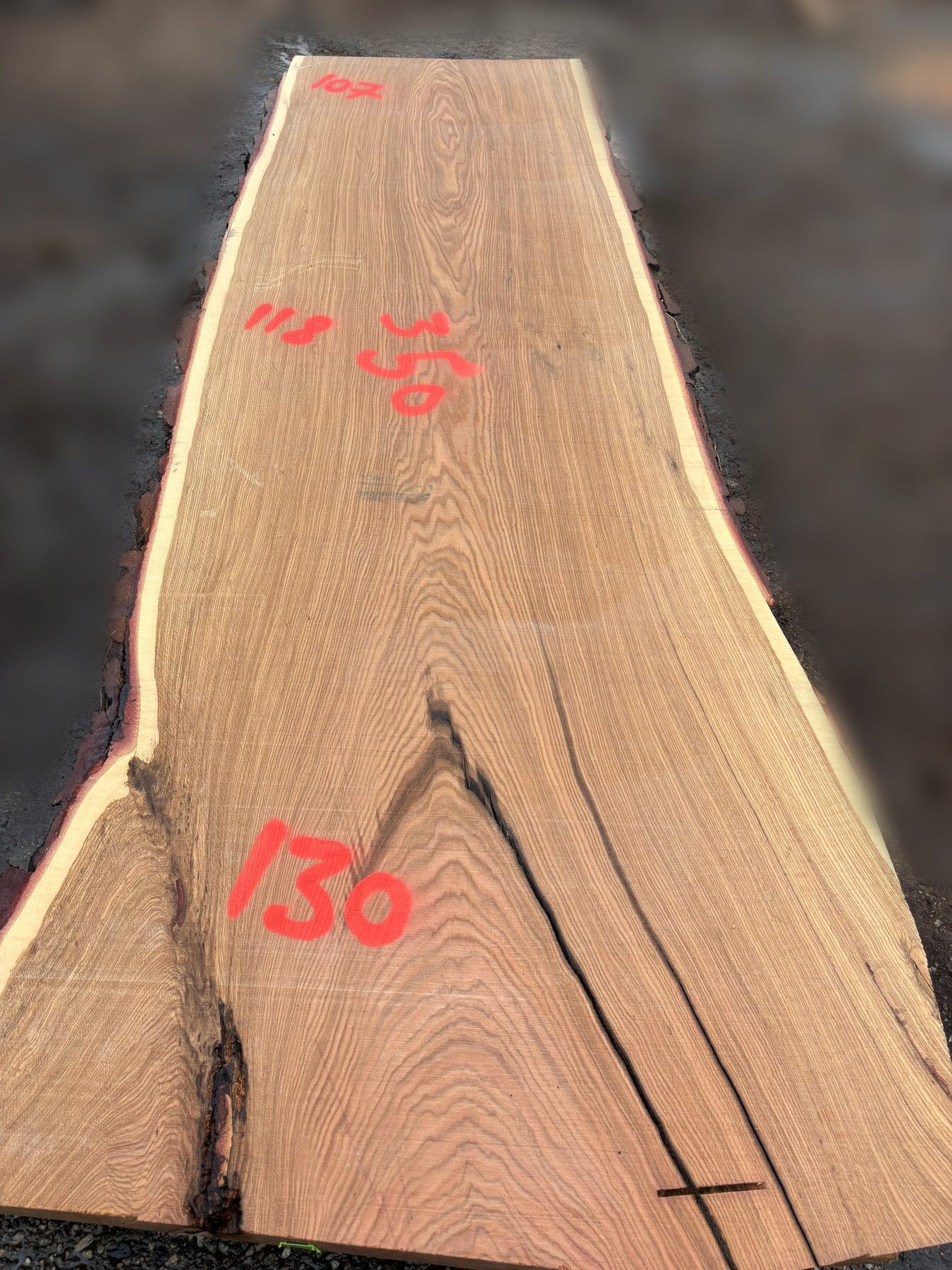 Oak - P8-1922