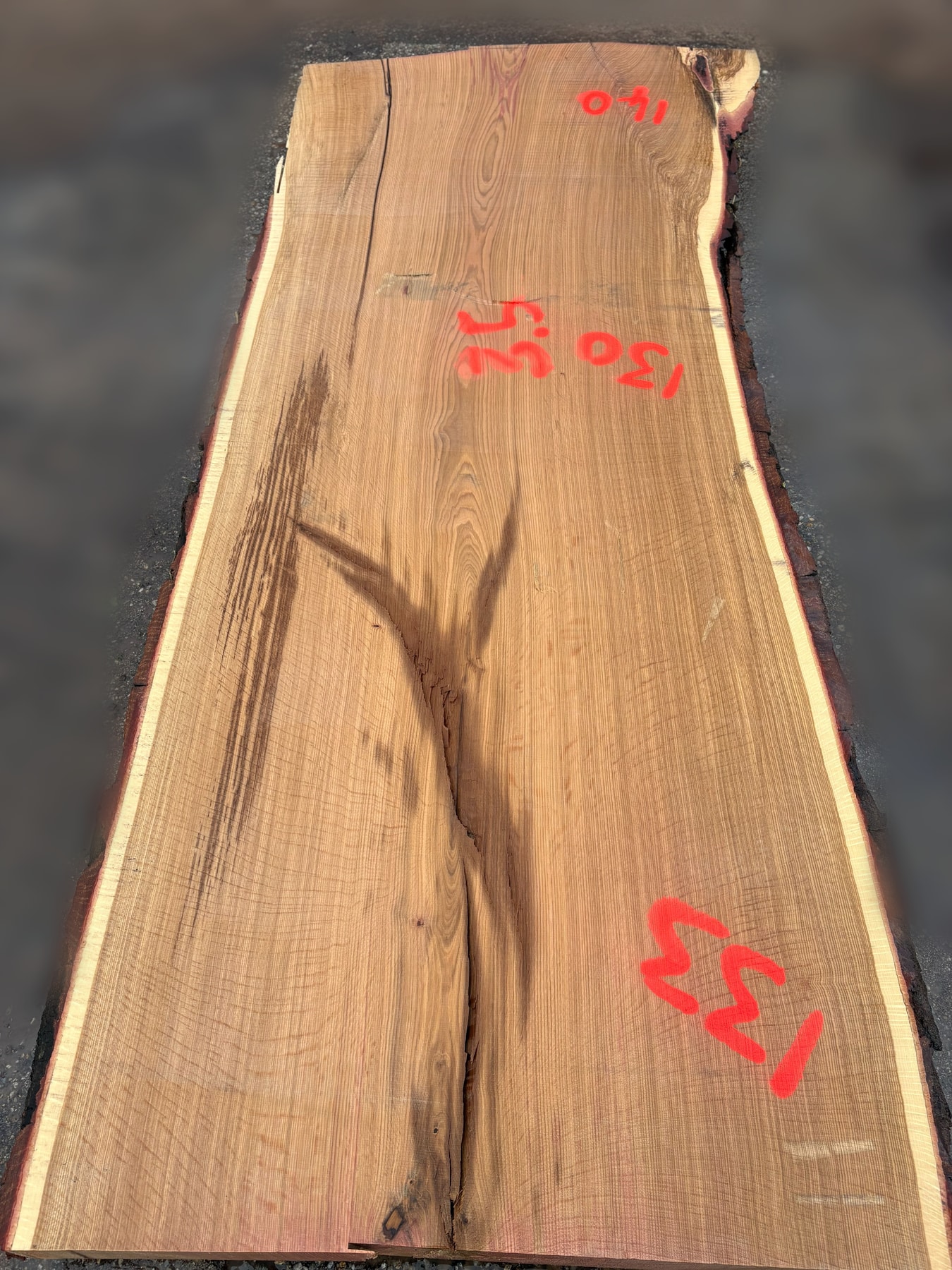 Oak - P8-1926