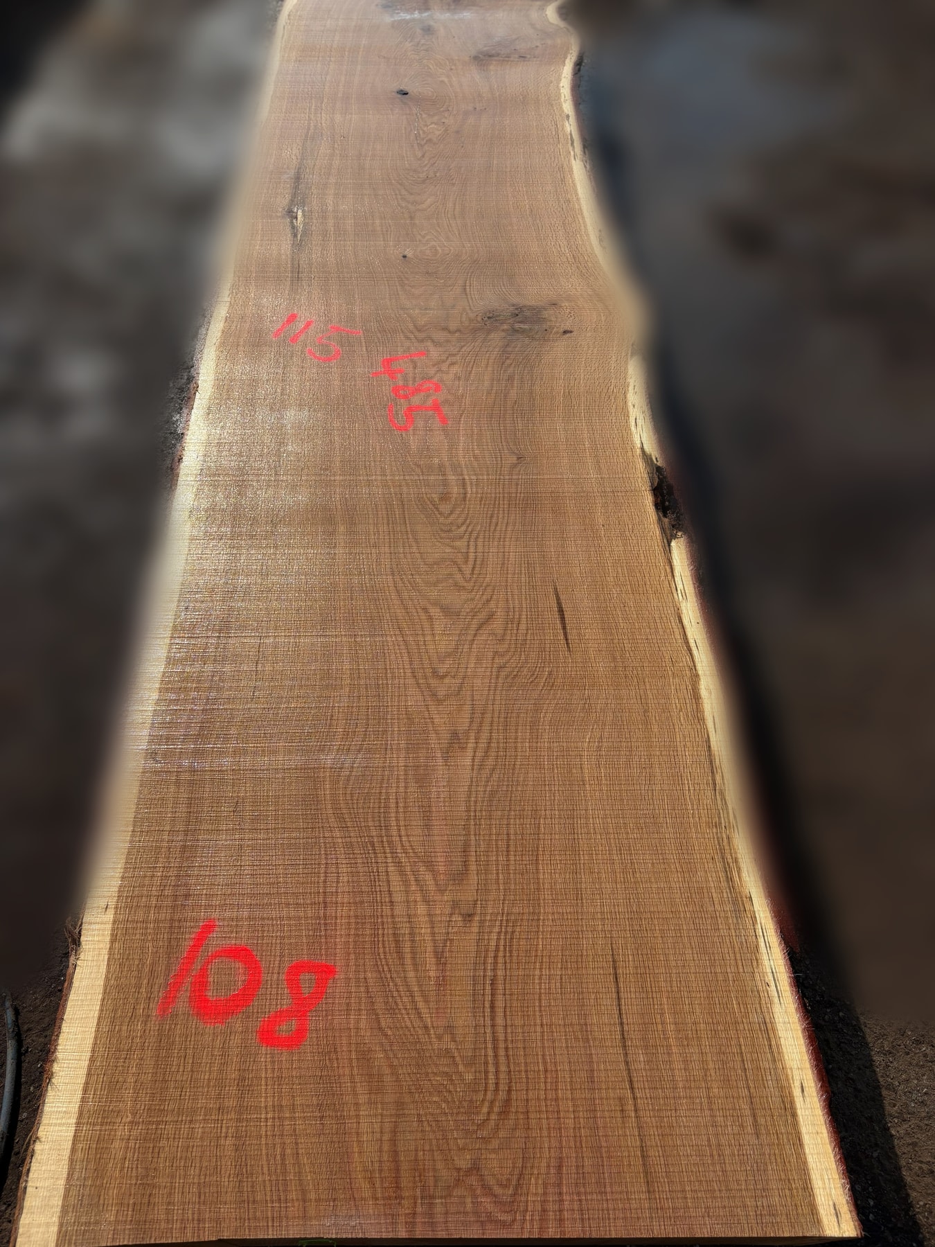 Oak - P5-1811