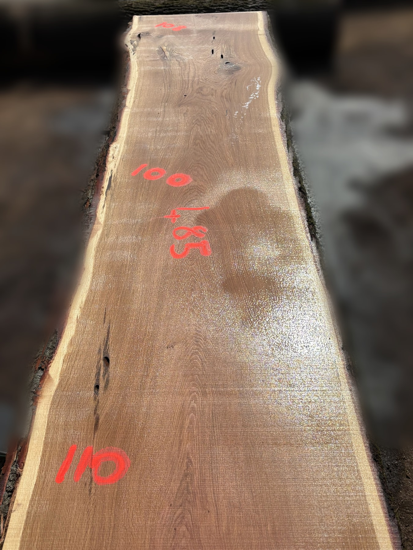 Oak - P5-1817