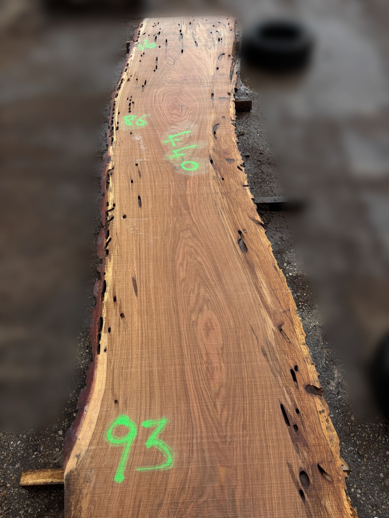 Oak - P1-804