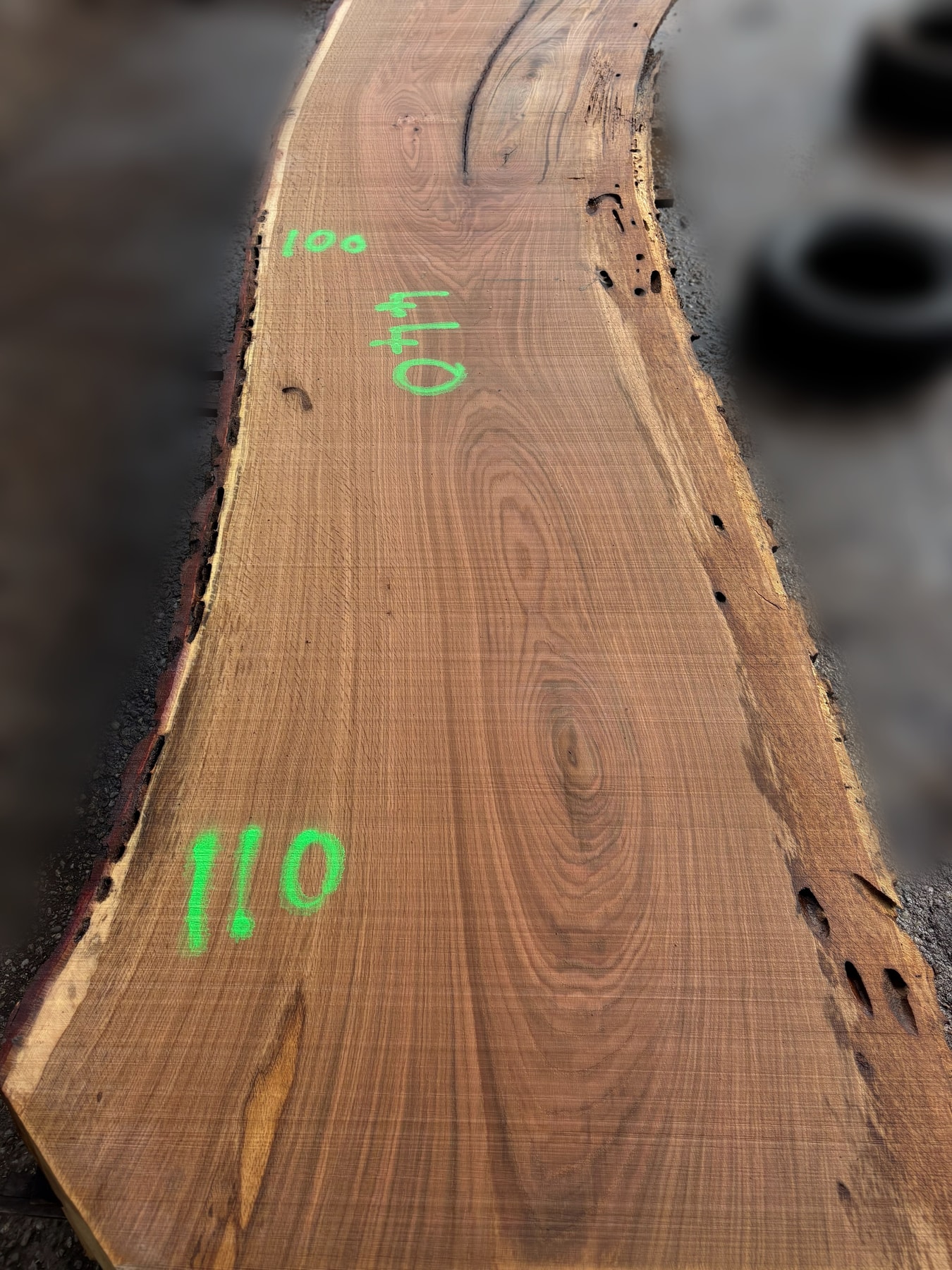 Oak - P1-803
