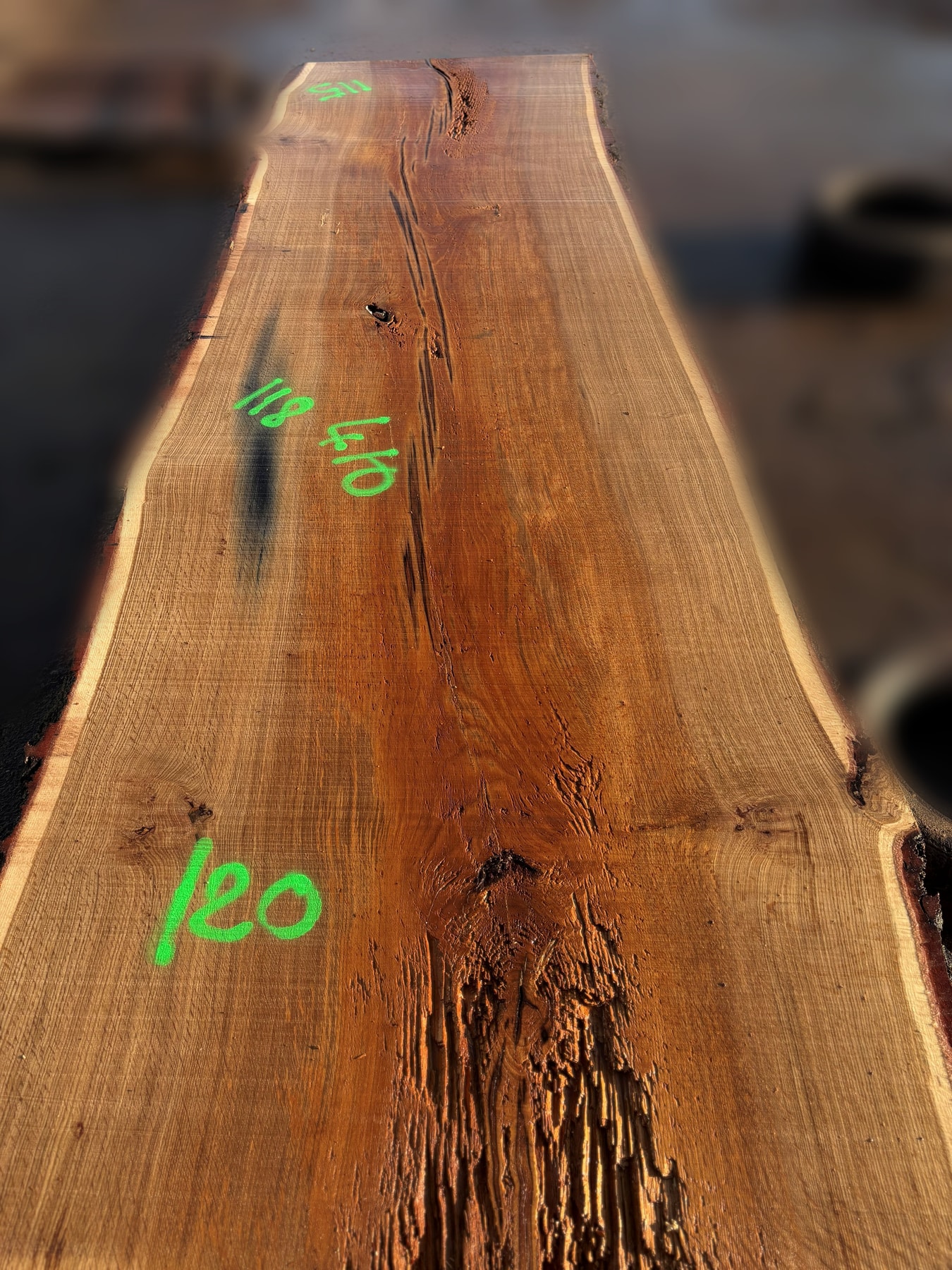 Oak - P2-814