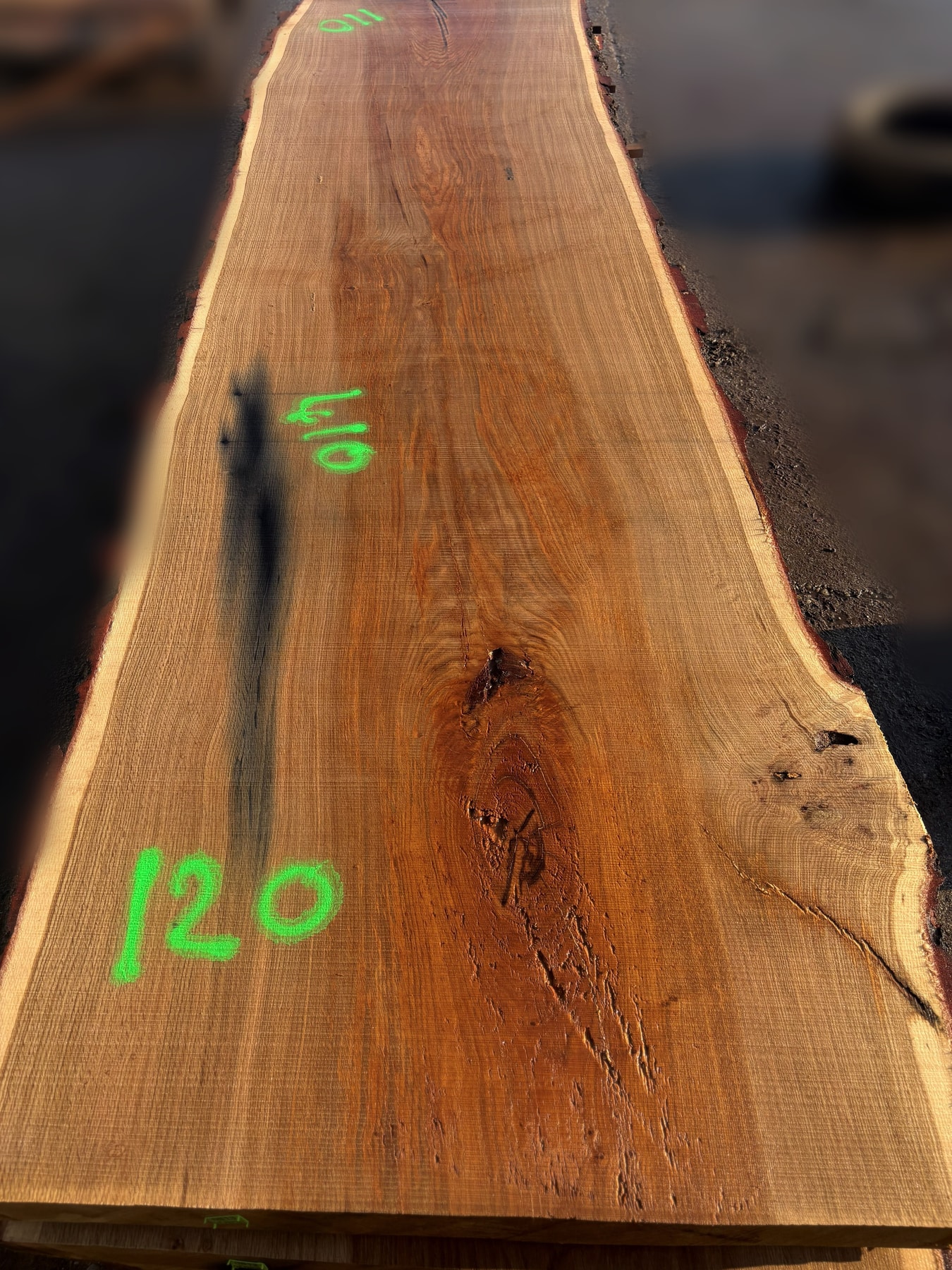 Oak - P2-813