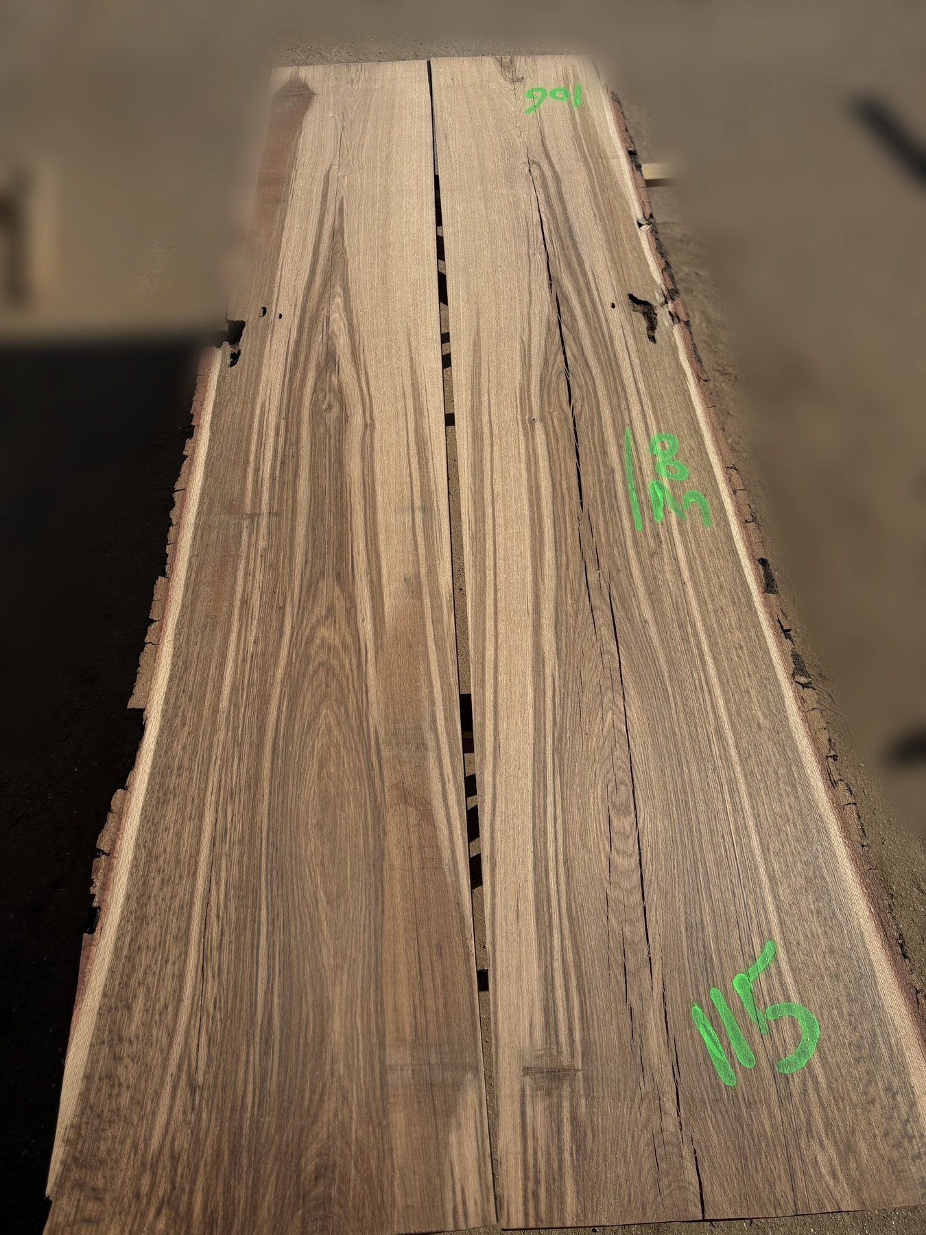 Oak - P12-1304