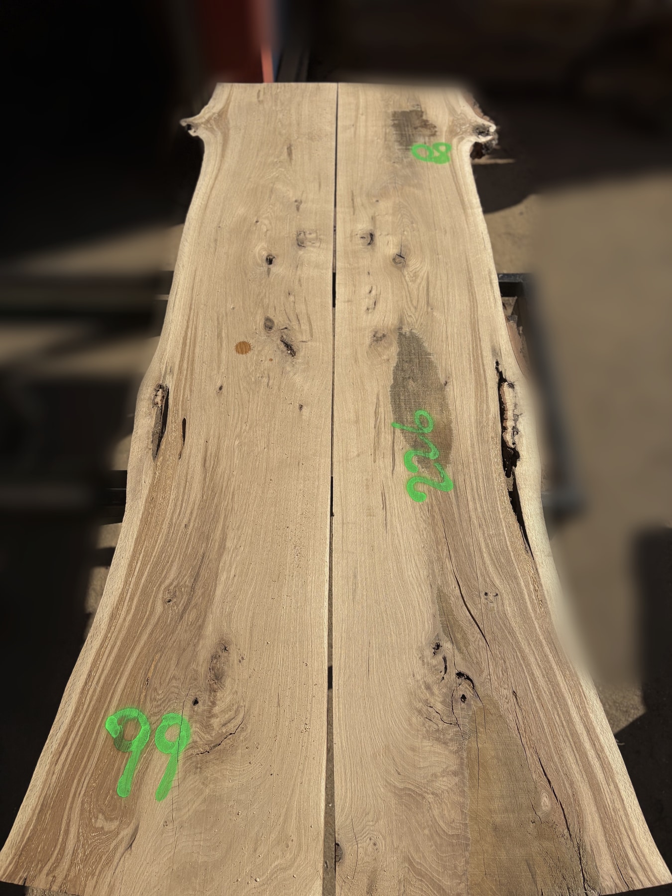 Oak - P8-1354