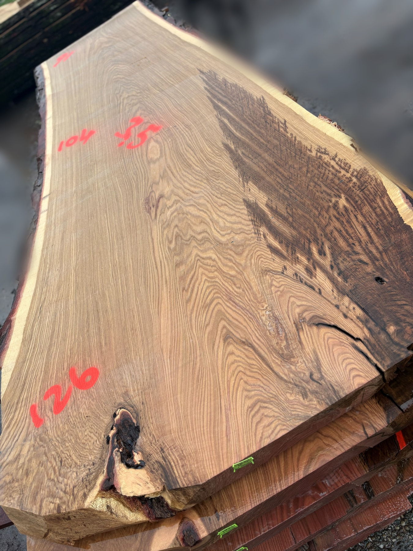 Oak - P8-1932