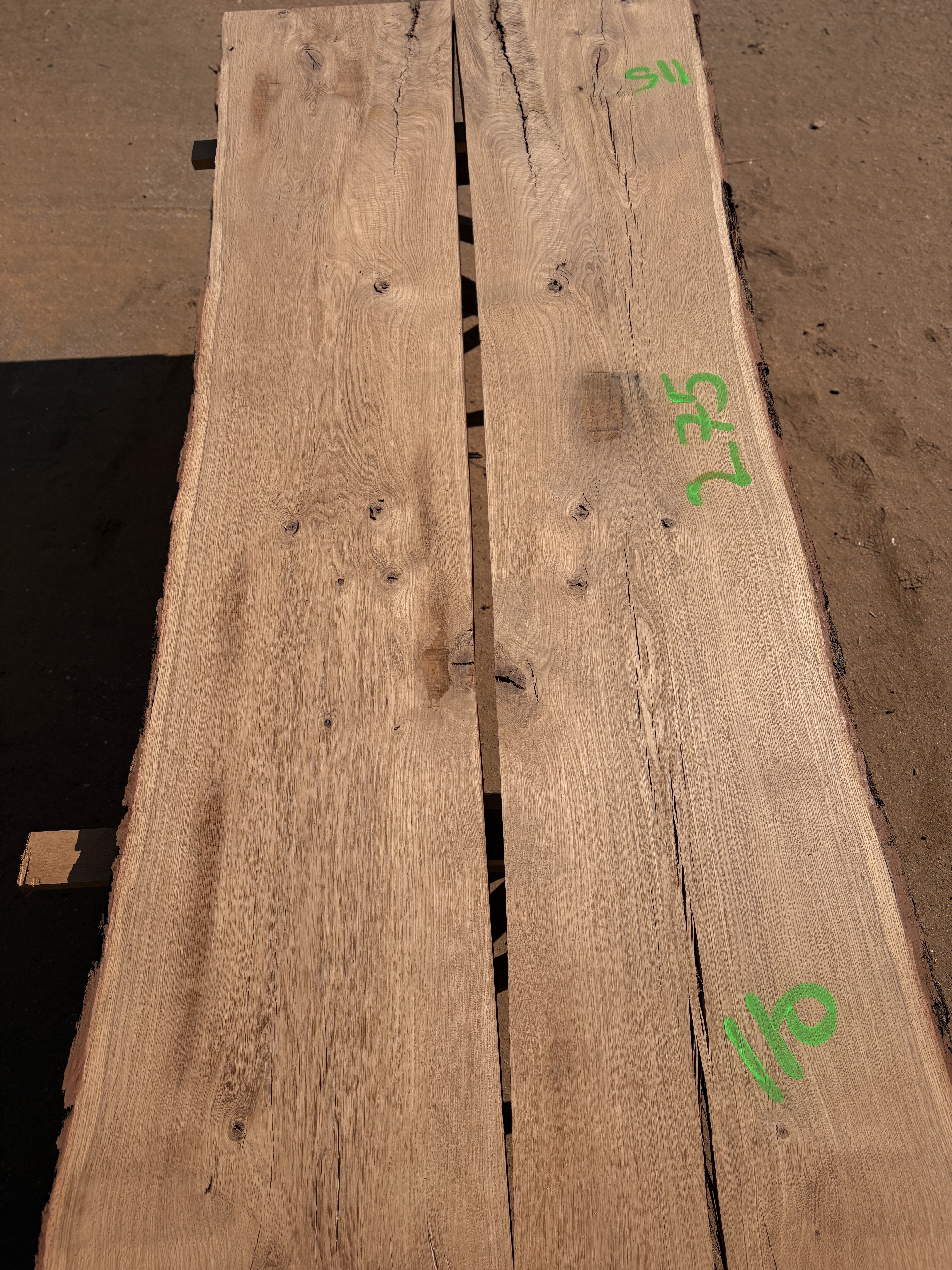 Oak - P12-1301