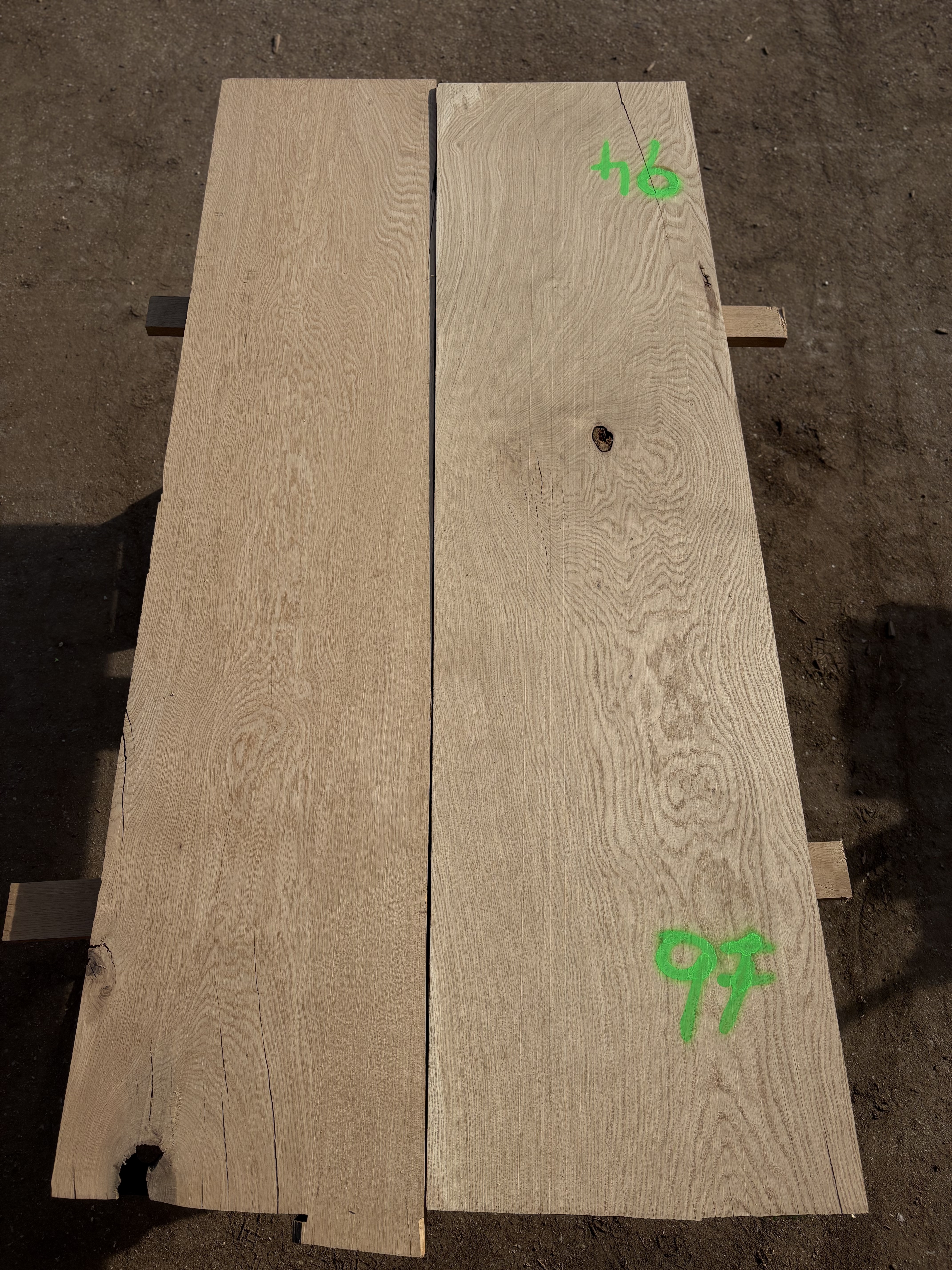 Oak - P6-1340