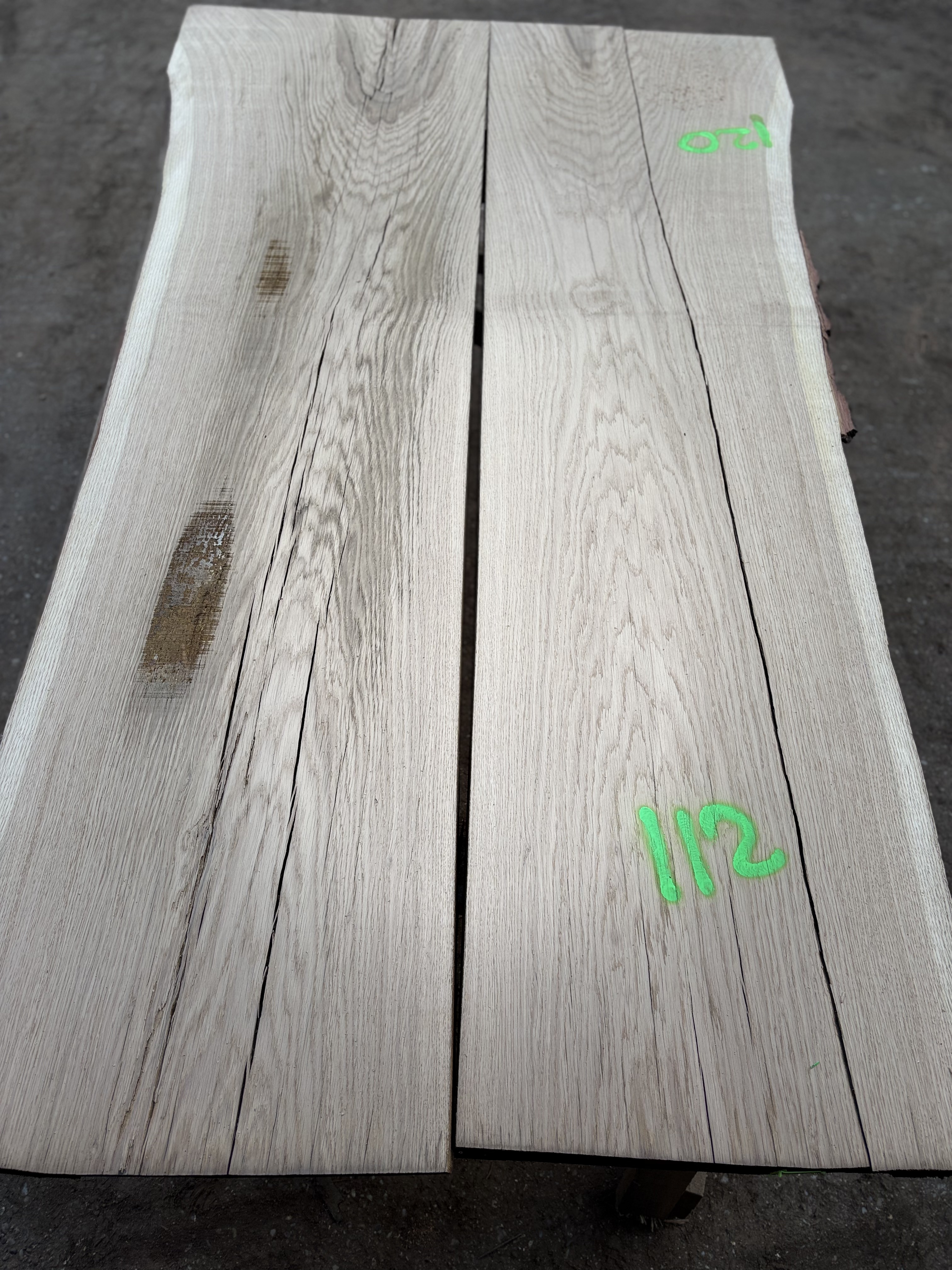 Oak - P4-1437