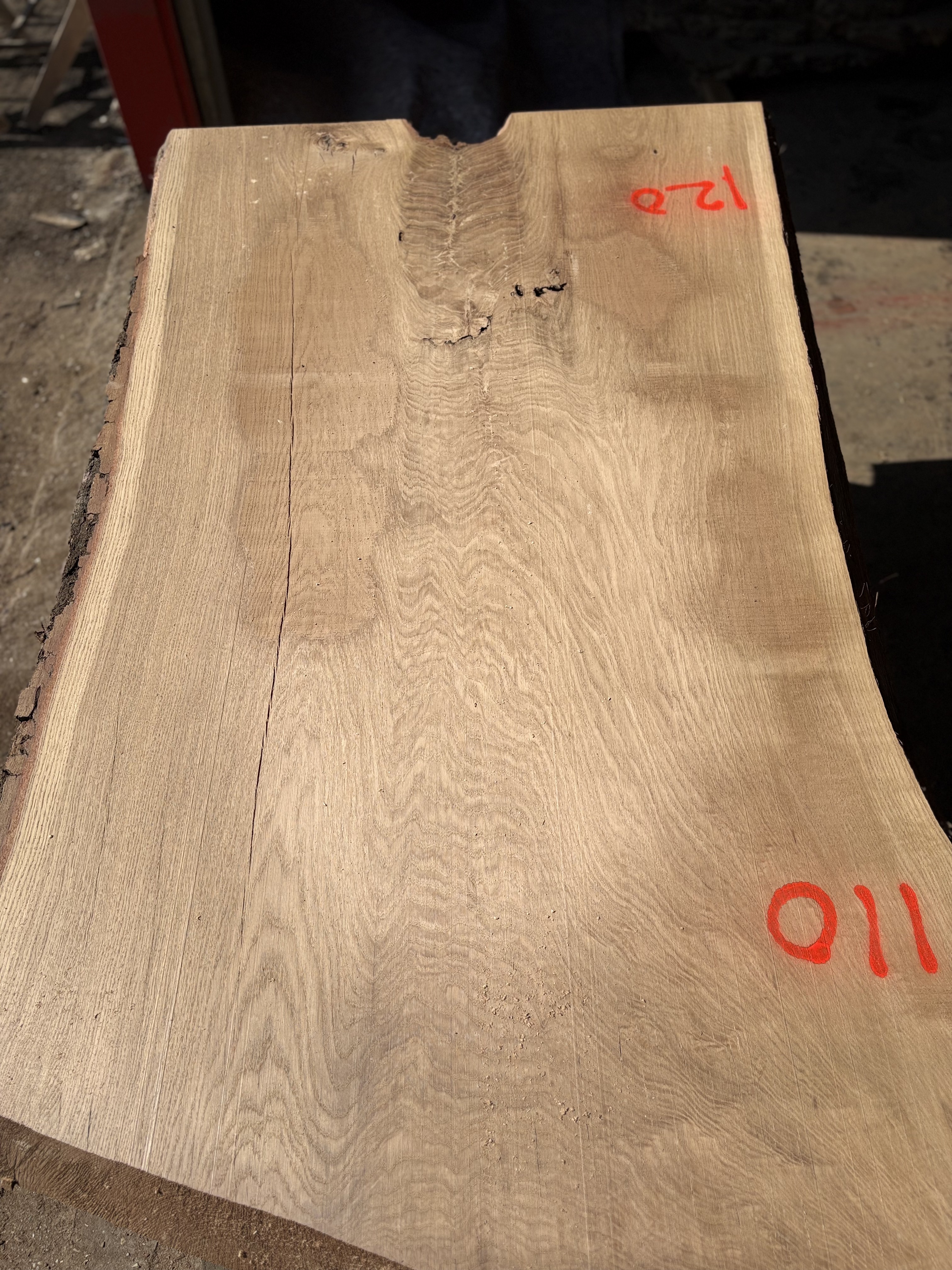 Oak - P1-1402