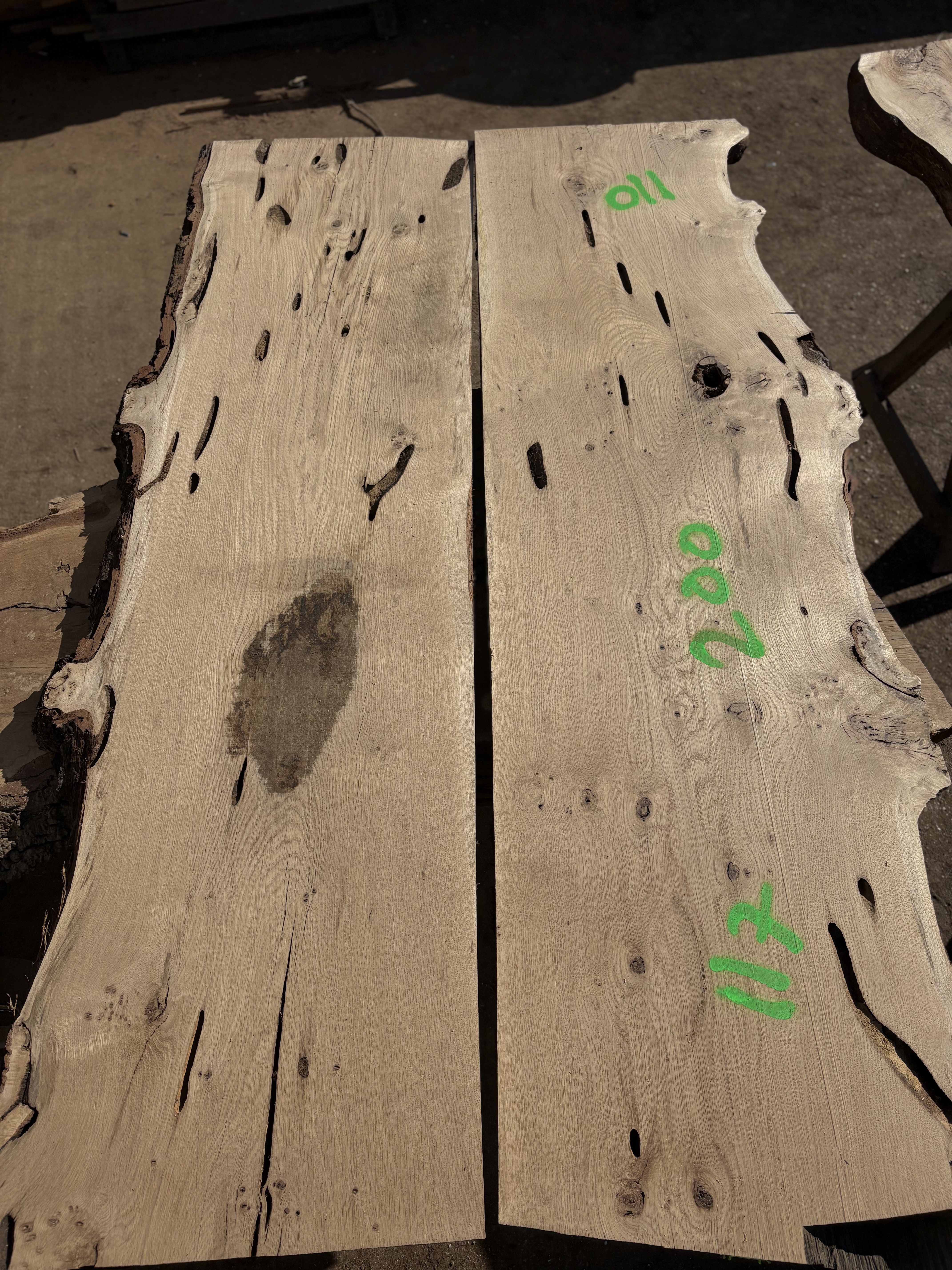 Oak - P8-1353