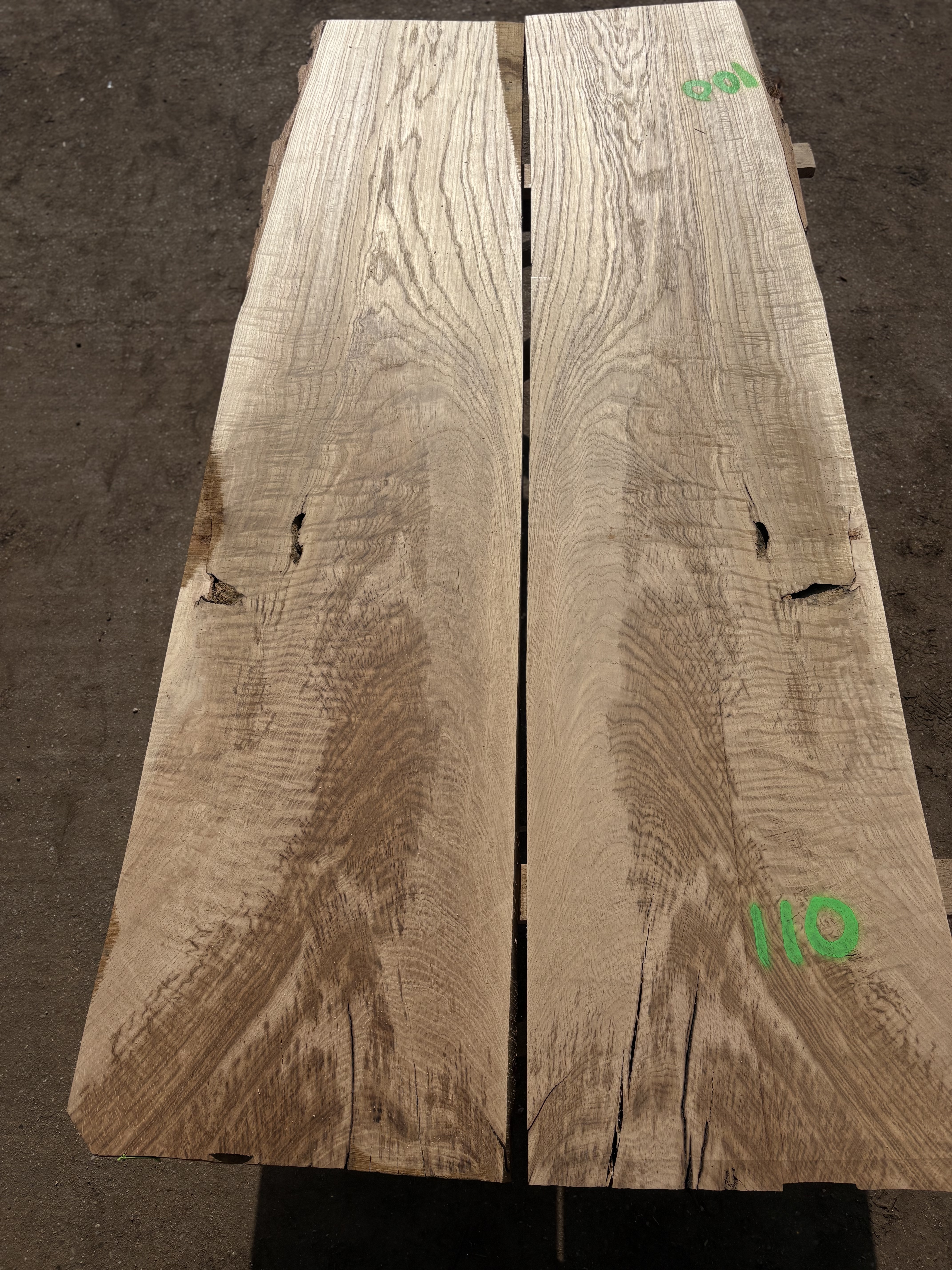 Oak - P5-1328