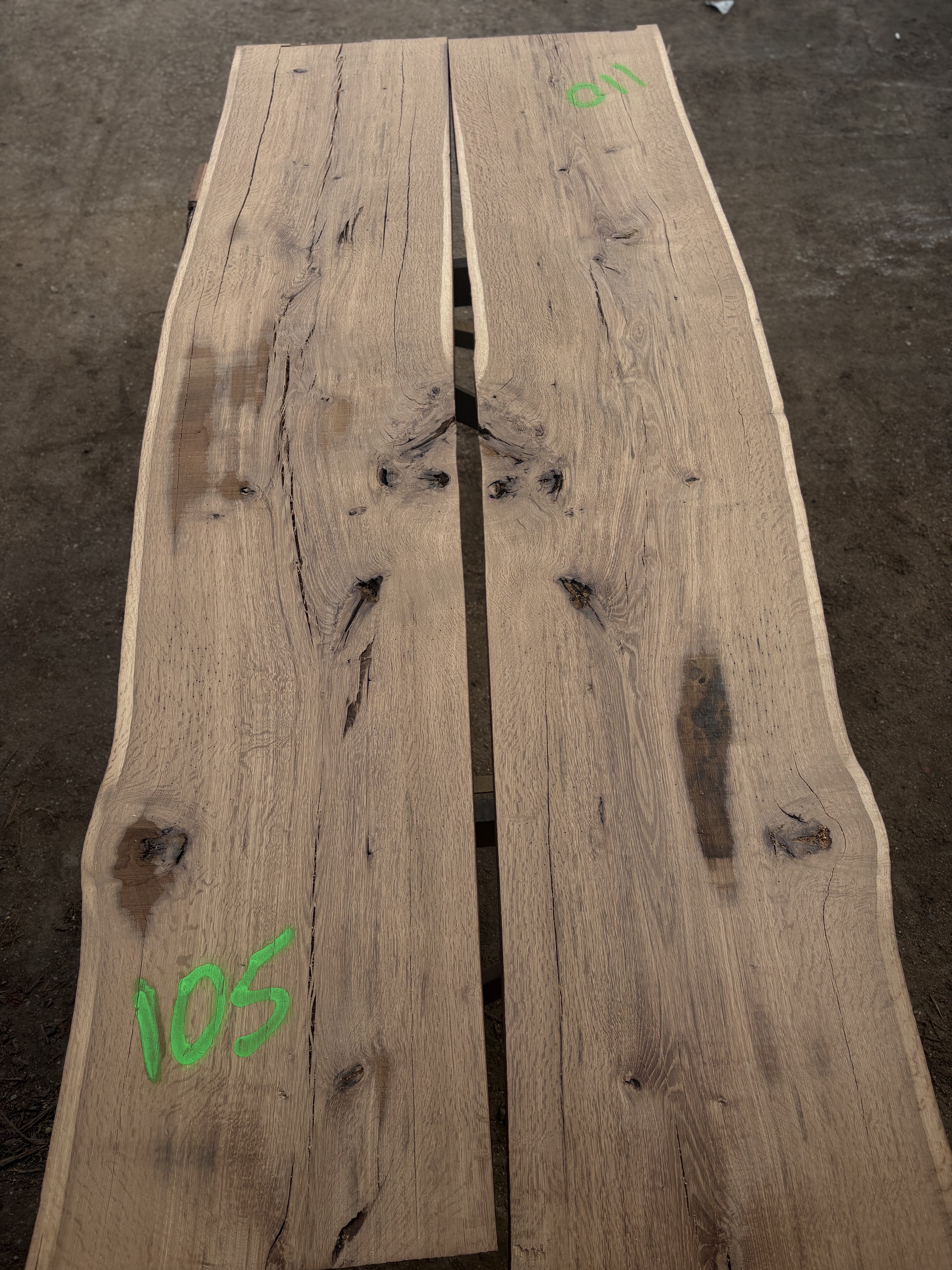 Oak - P1-1416