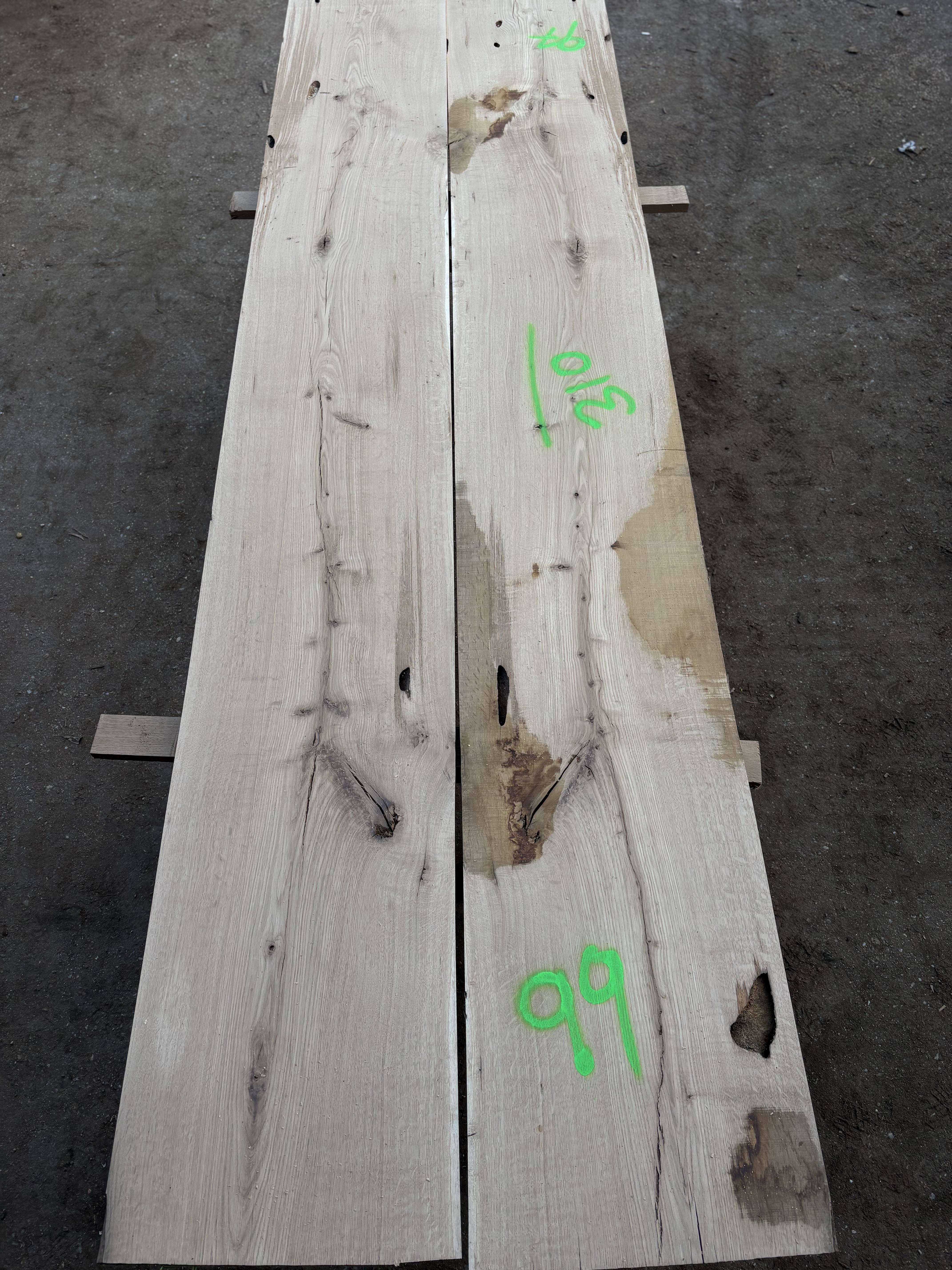 Oak - P7-1348