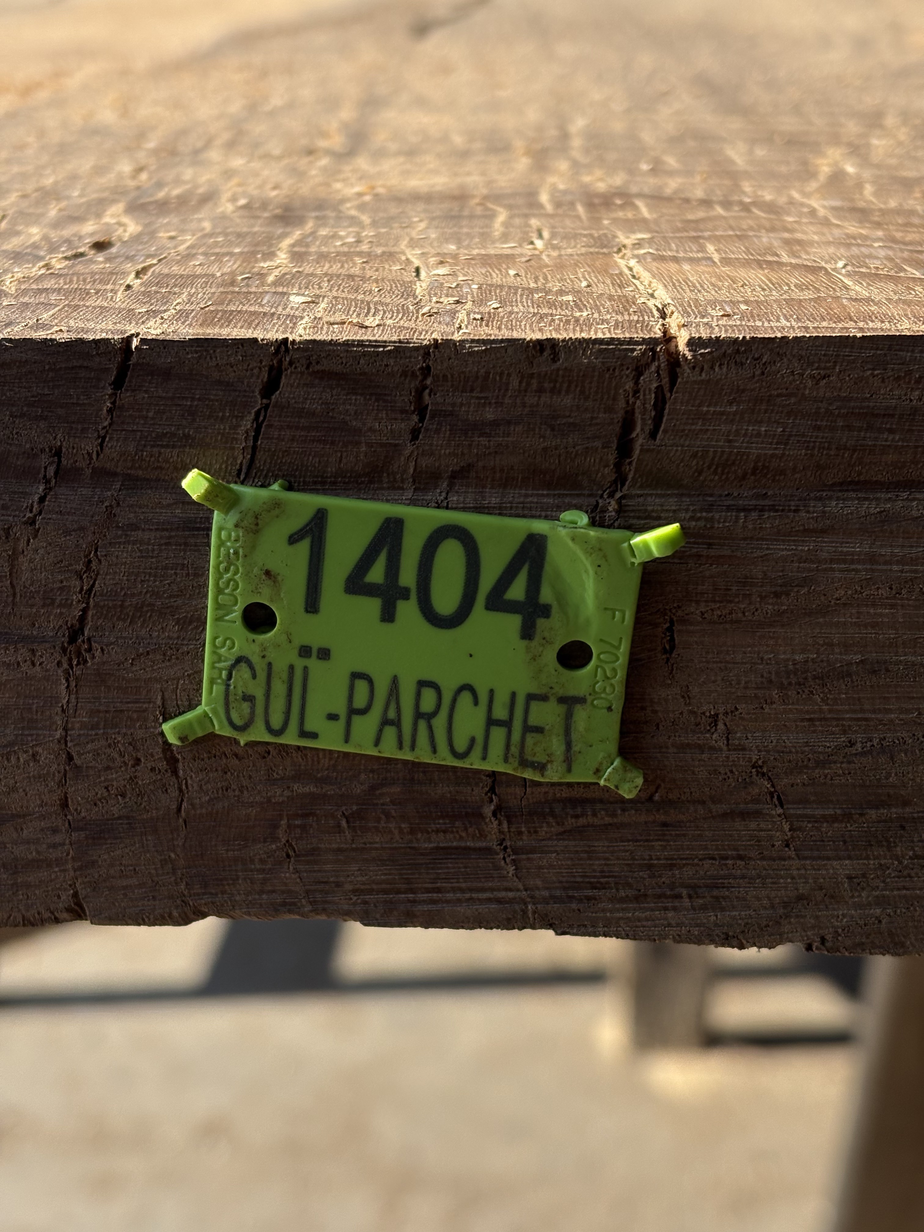 Oak - P1-1404
