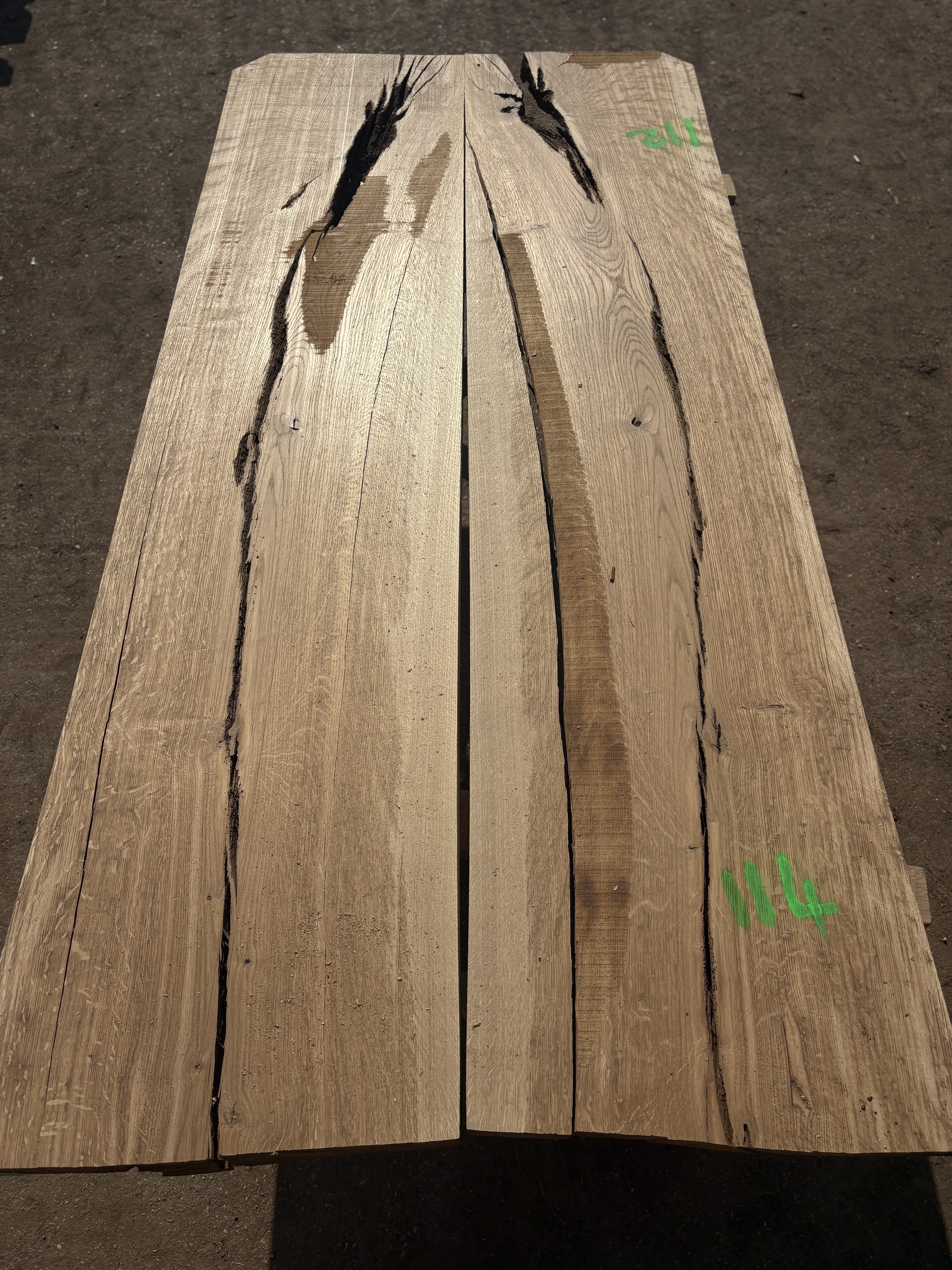 Oak - P5-1326