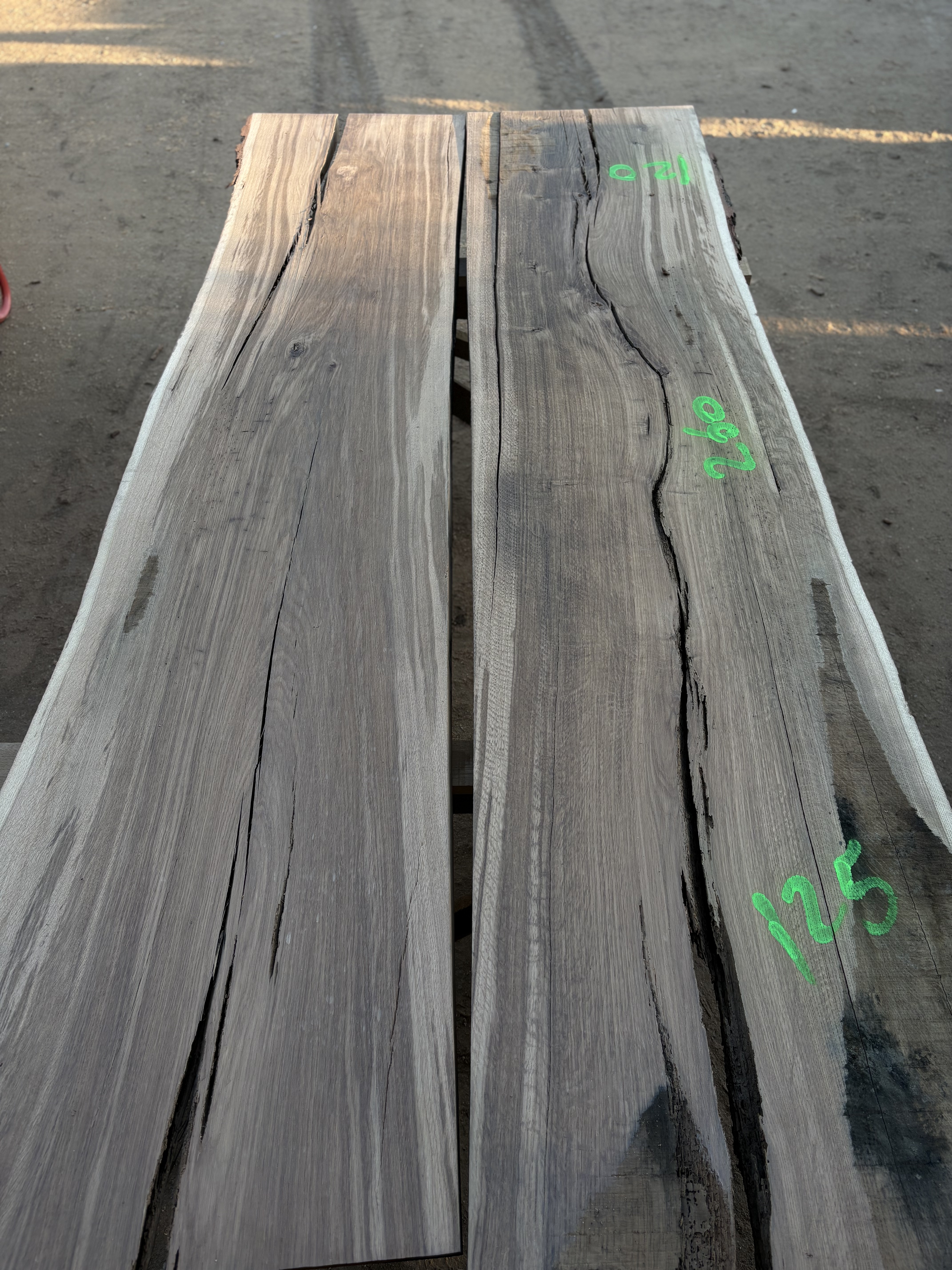 Oak - P13-1310