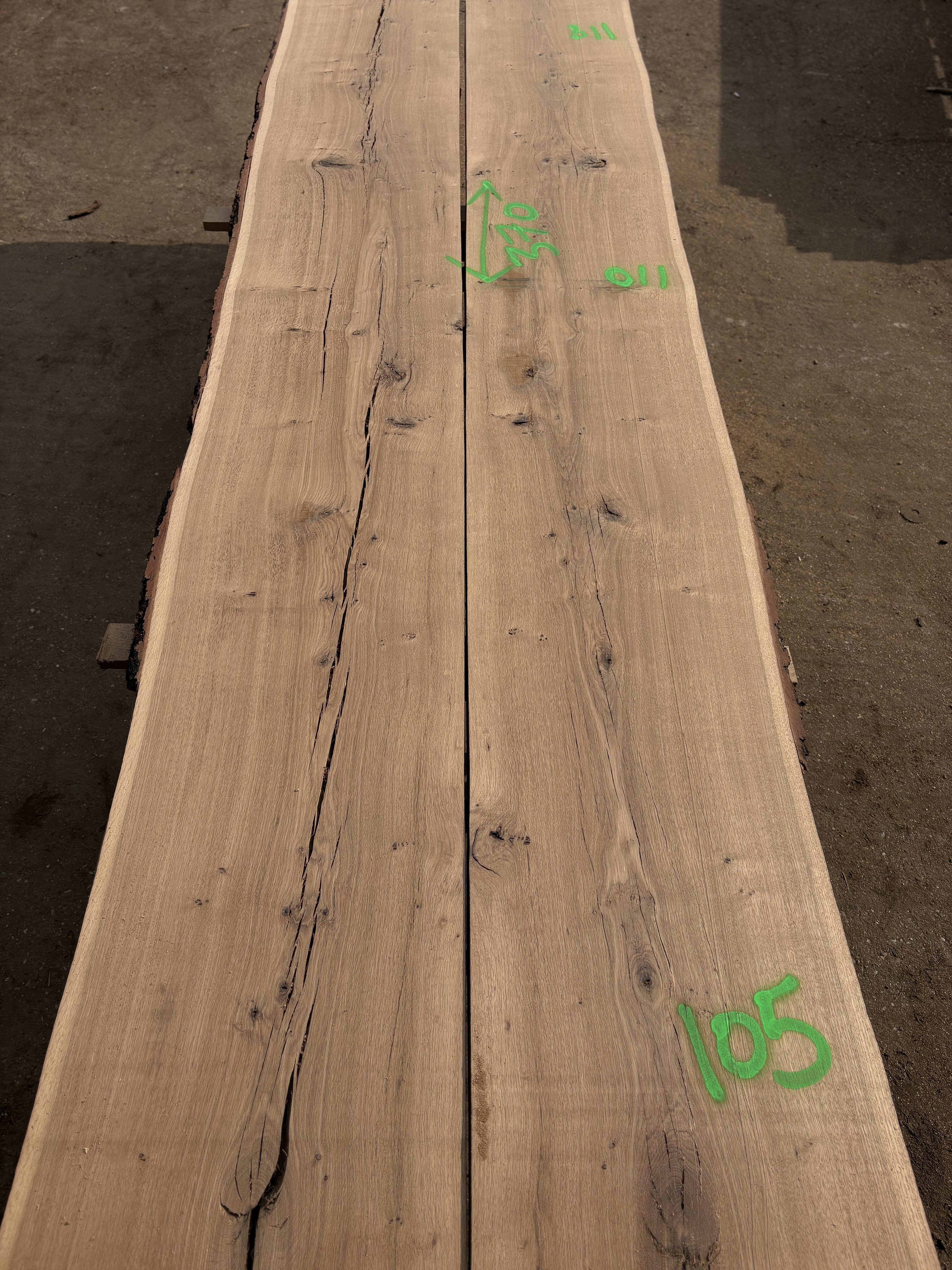 Oak - P3-1431