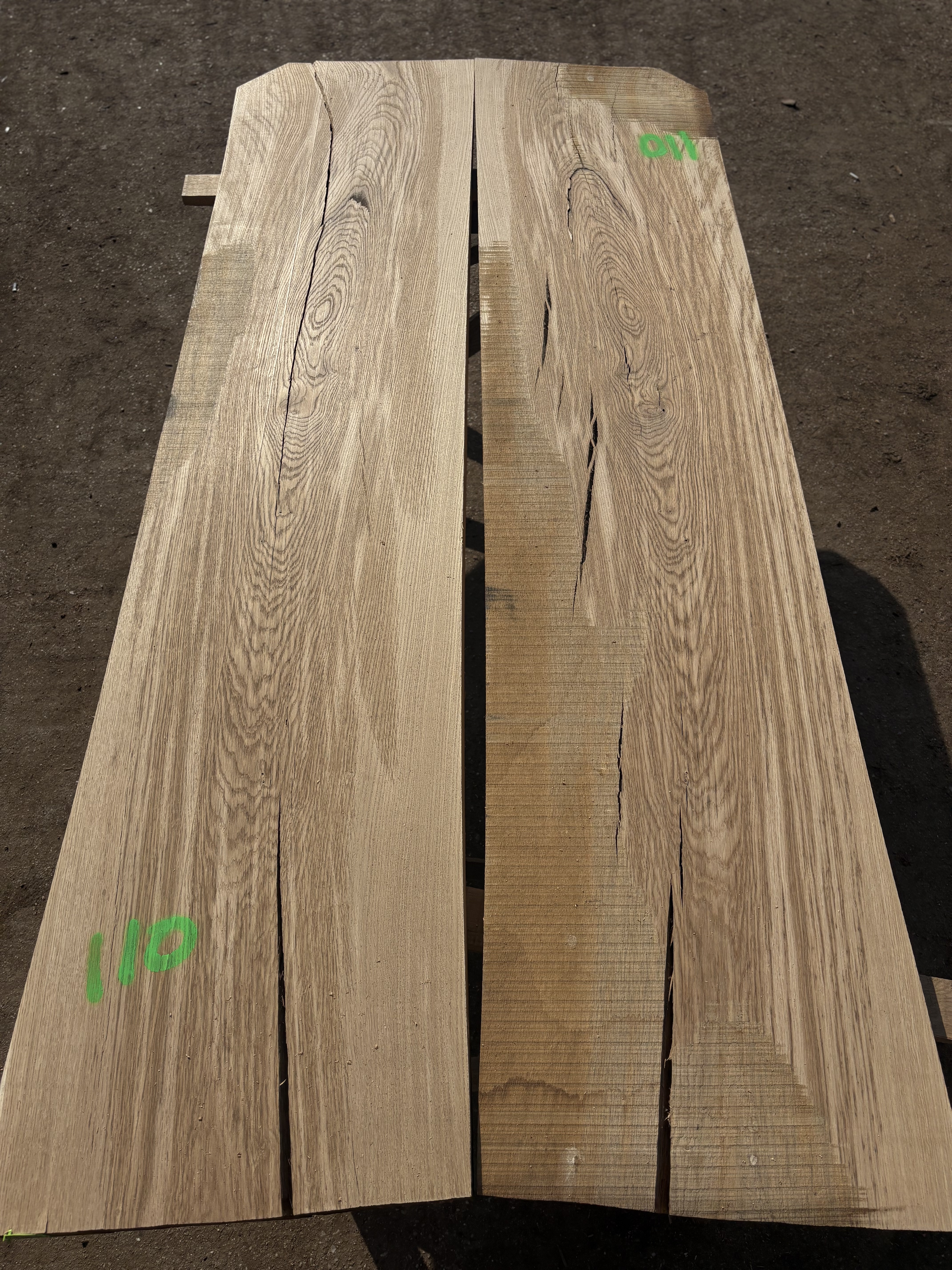 Oak - P5-1440