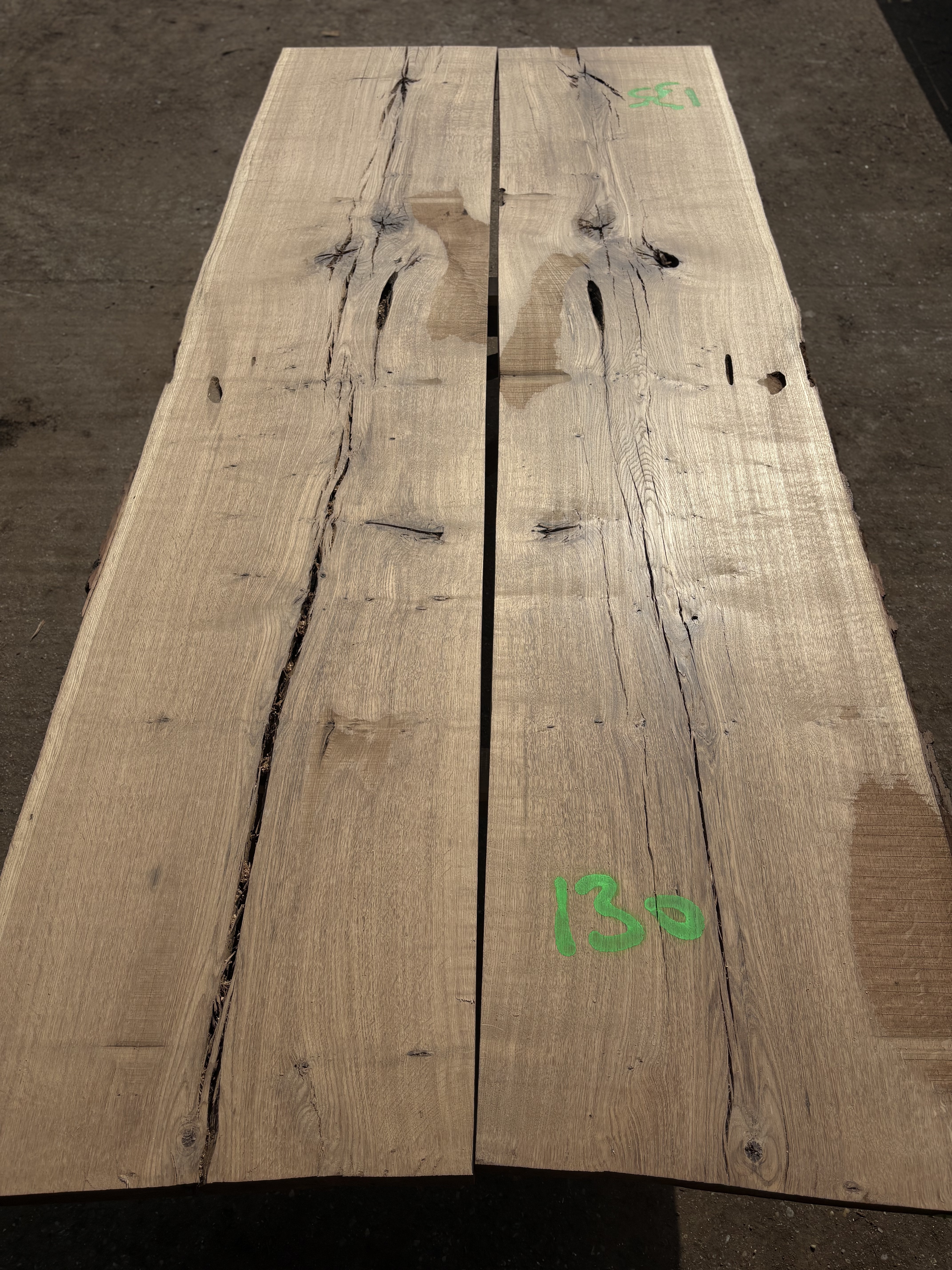 Oak - P2-1424