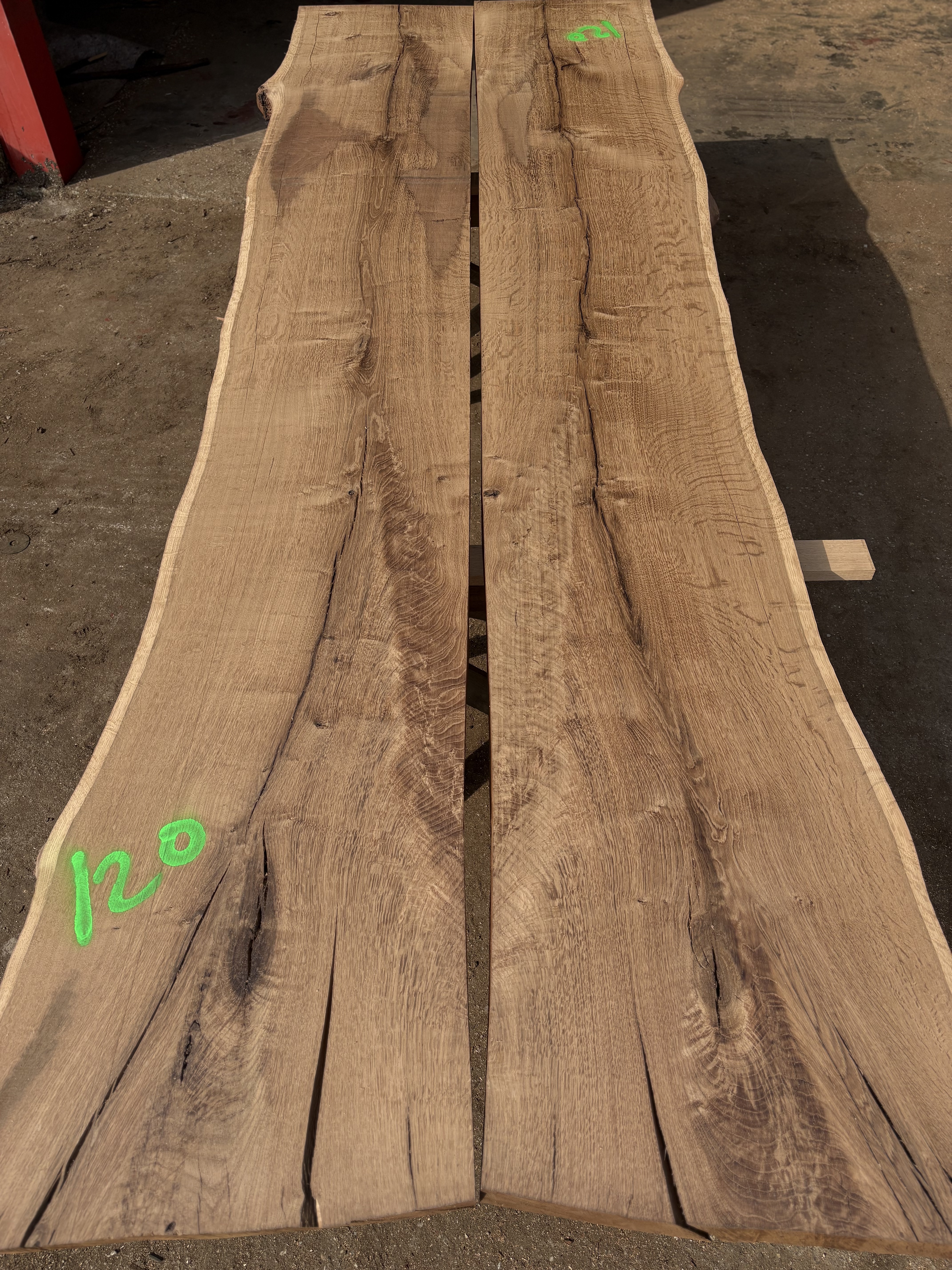 Oak - P3-1427