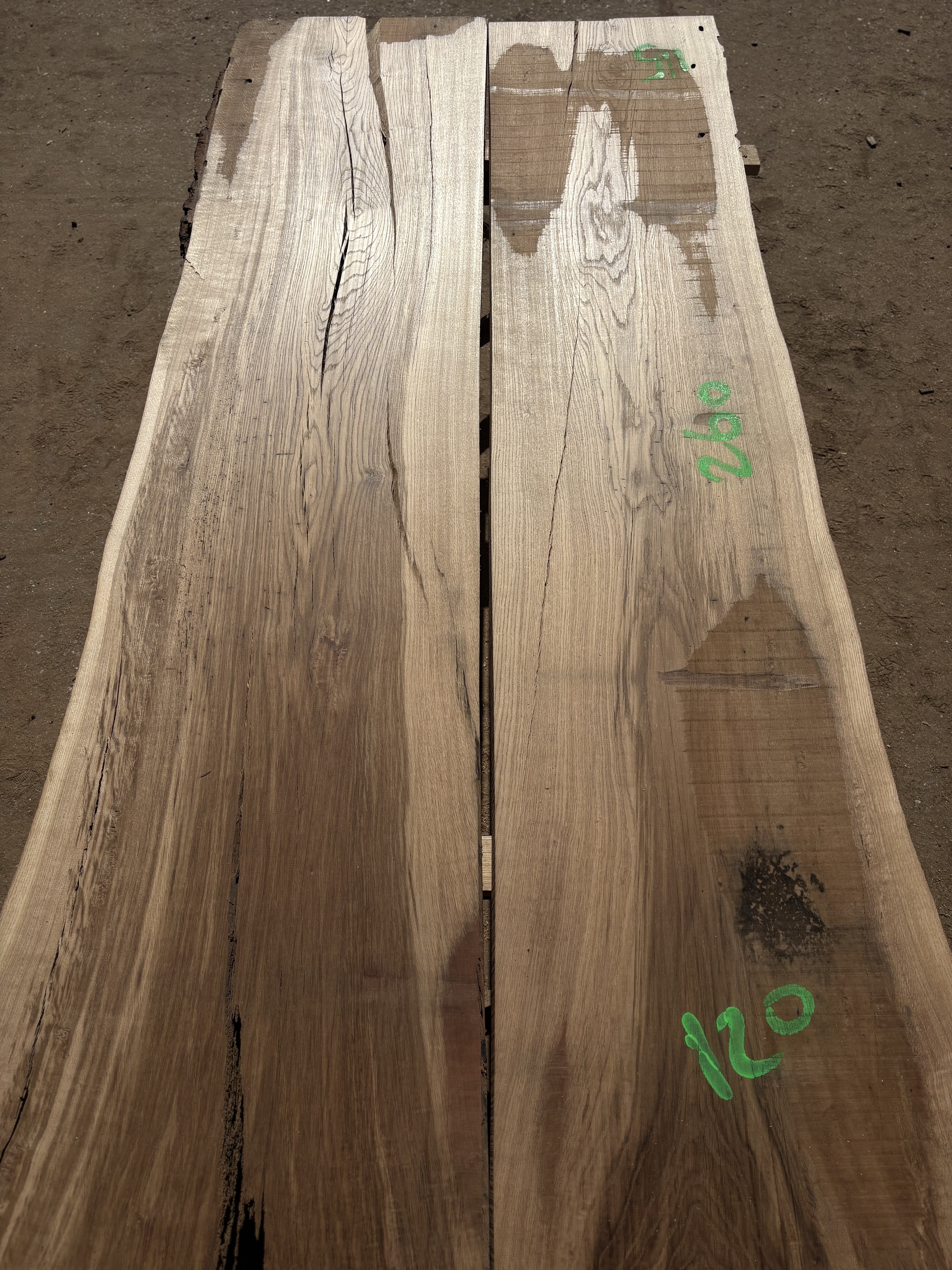 Oak - P13-1317