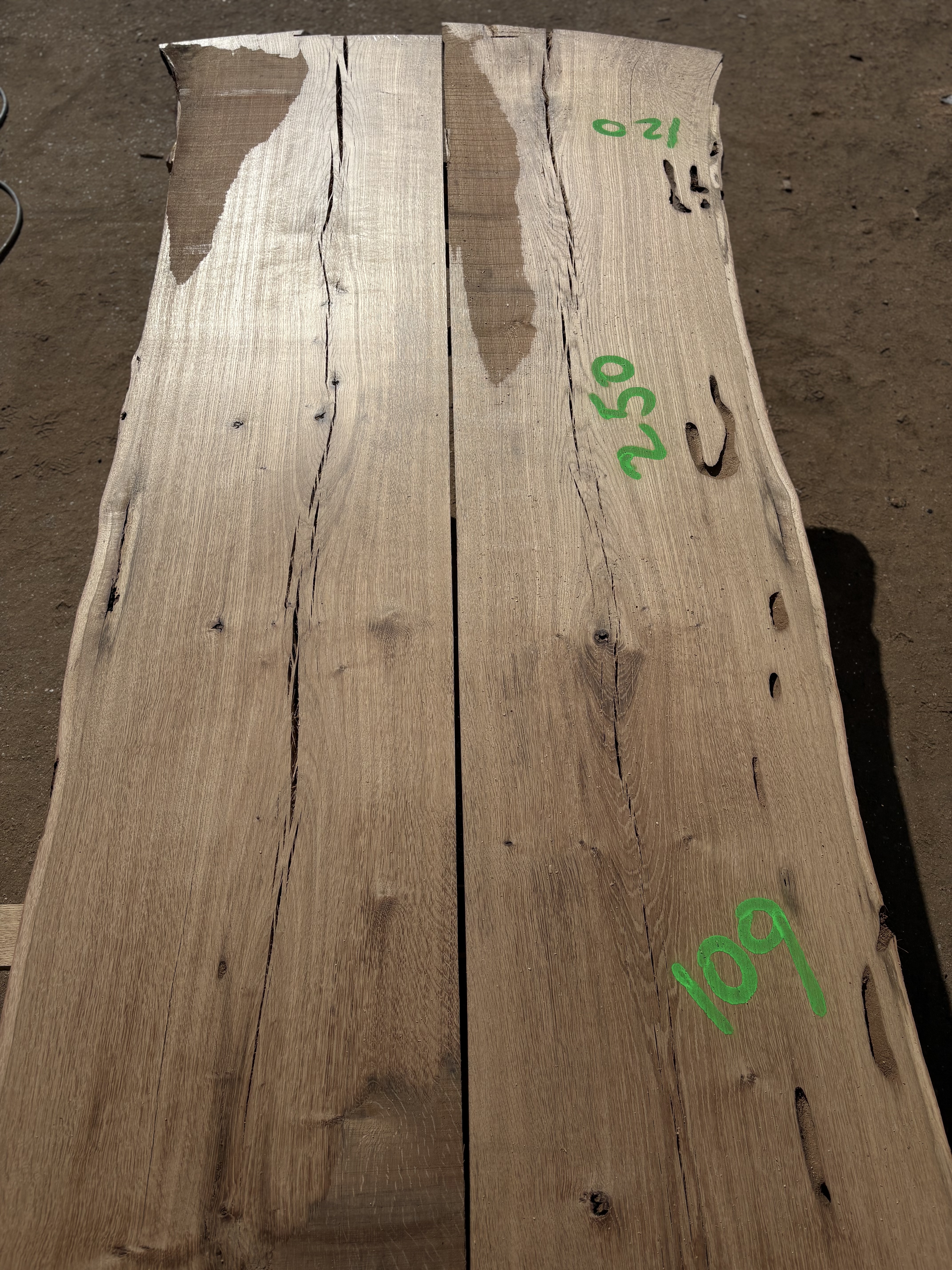 Oak - P13-1314