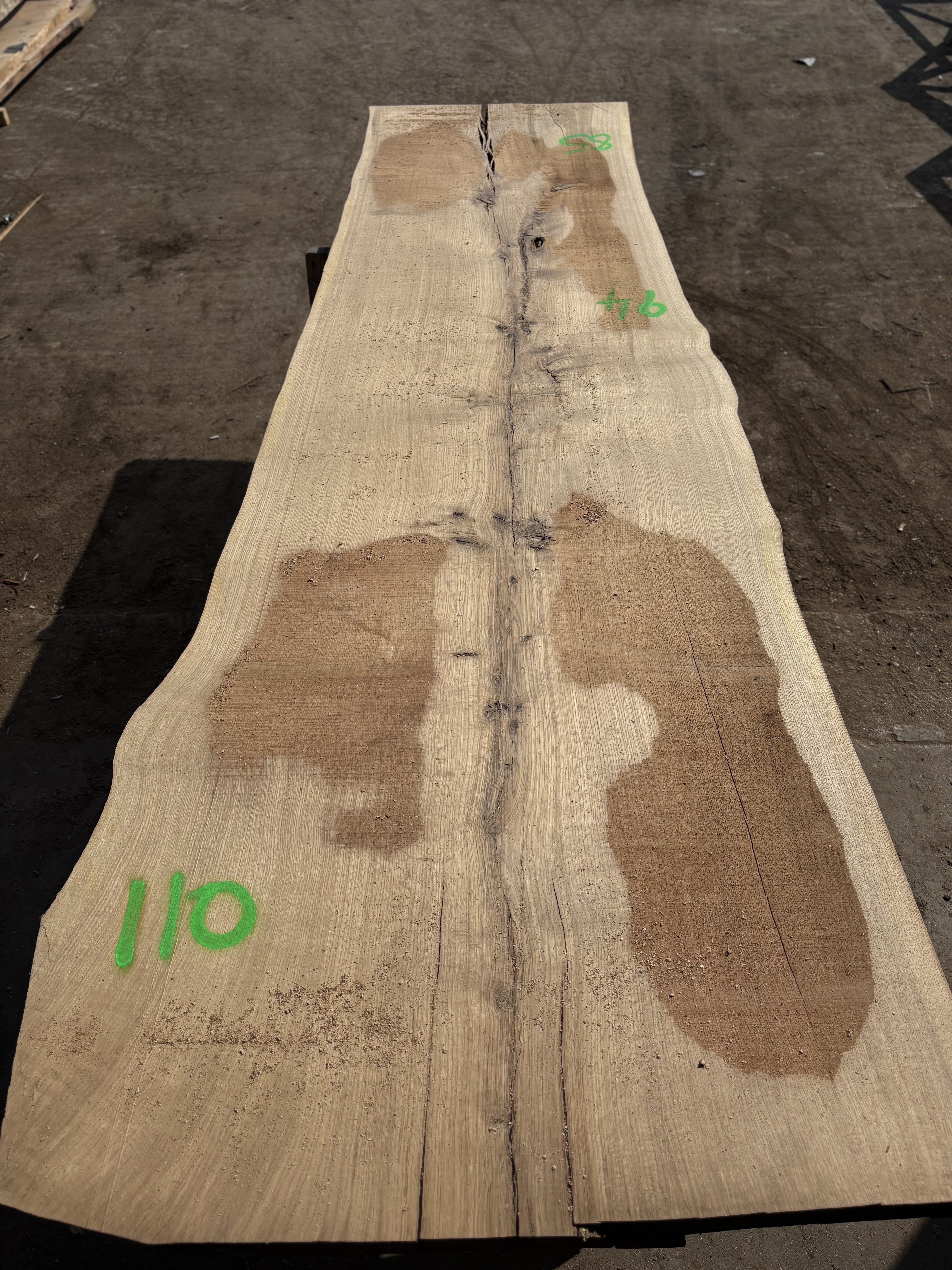 Oak - P2-1410