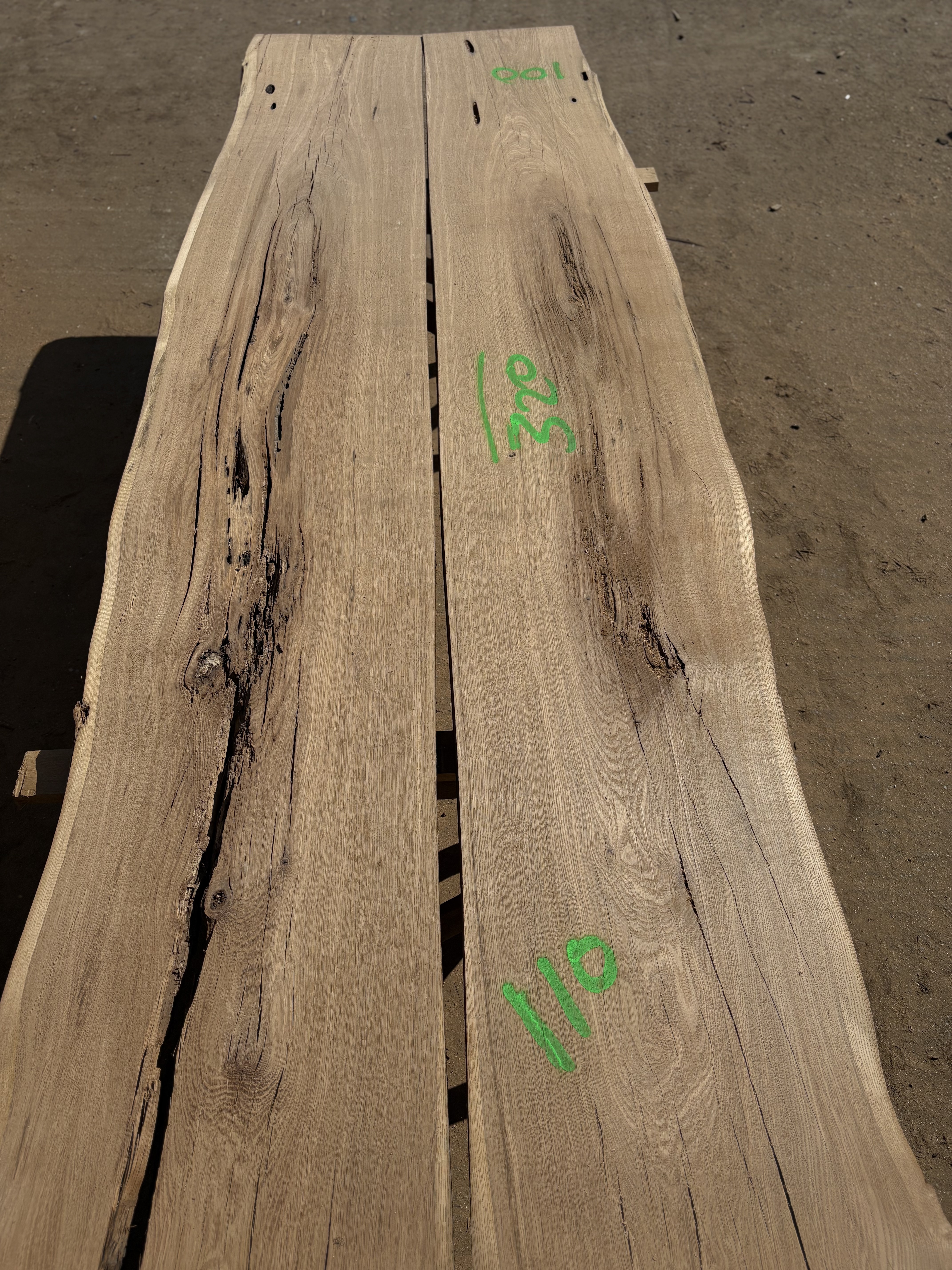 Oak - P11-1300