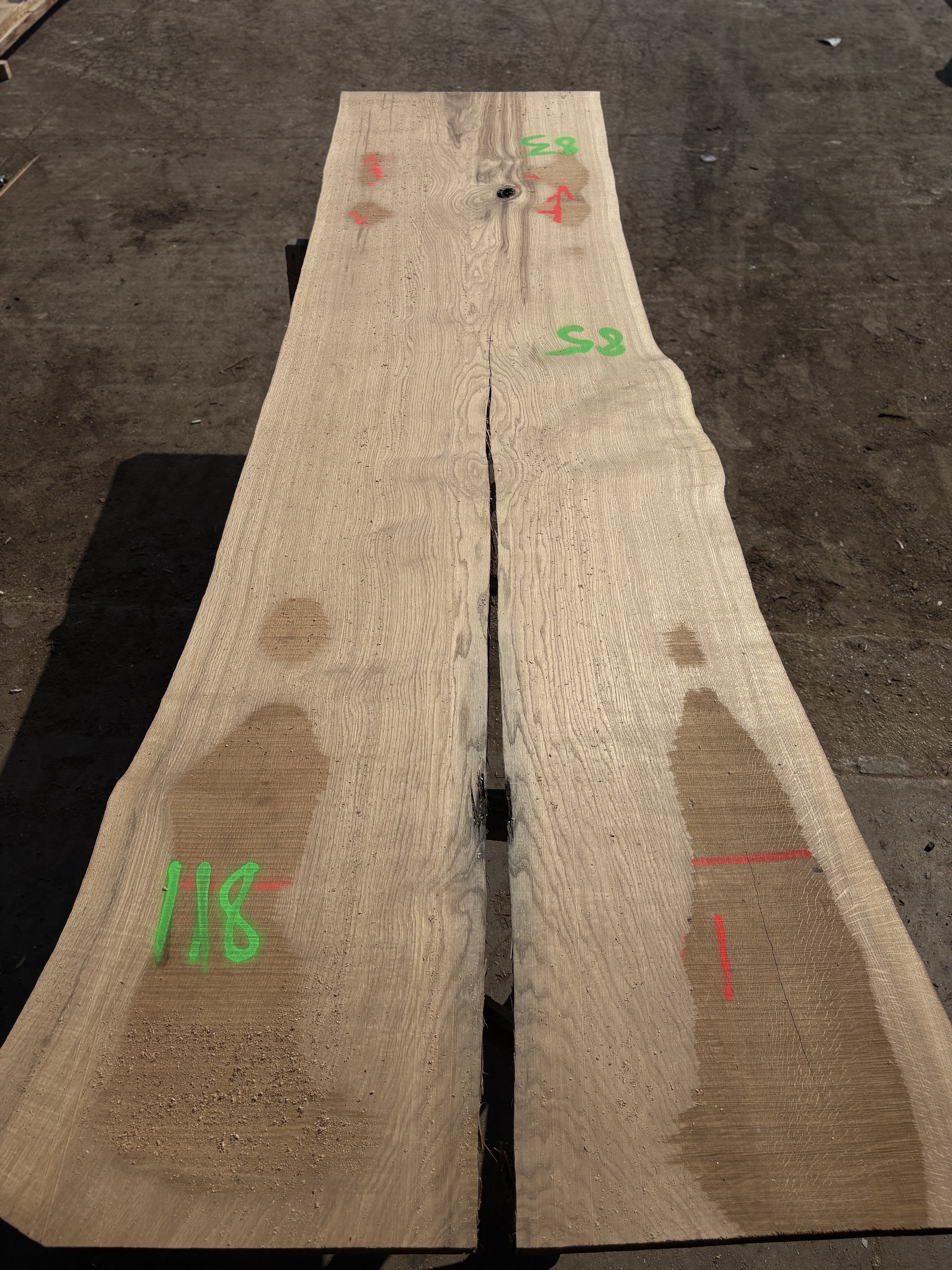 Oak - P2-1408