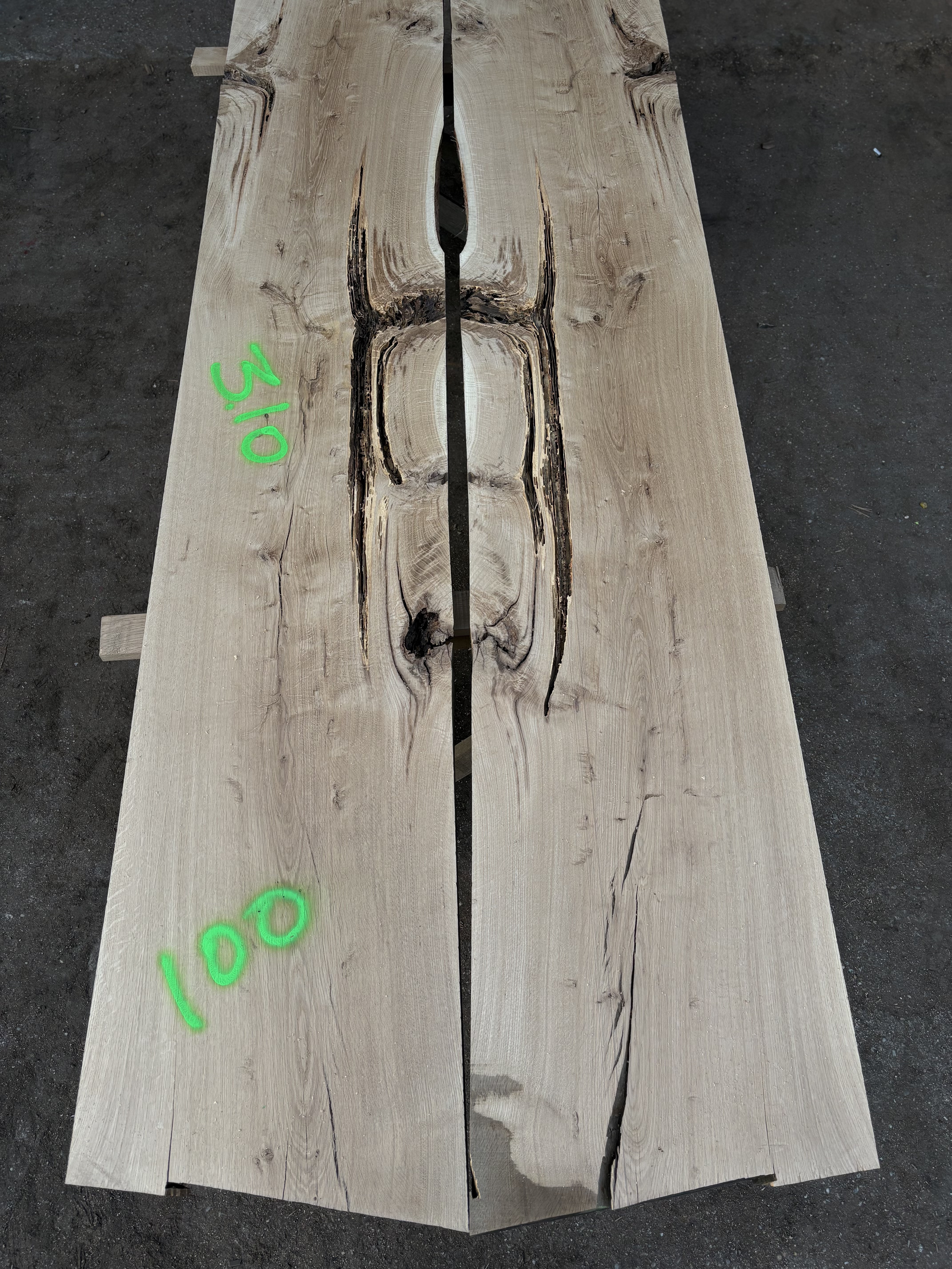 Oak - P7-1347