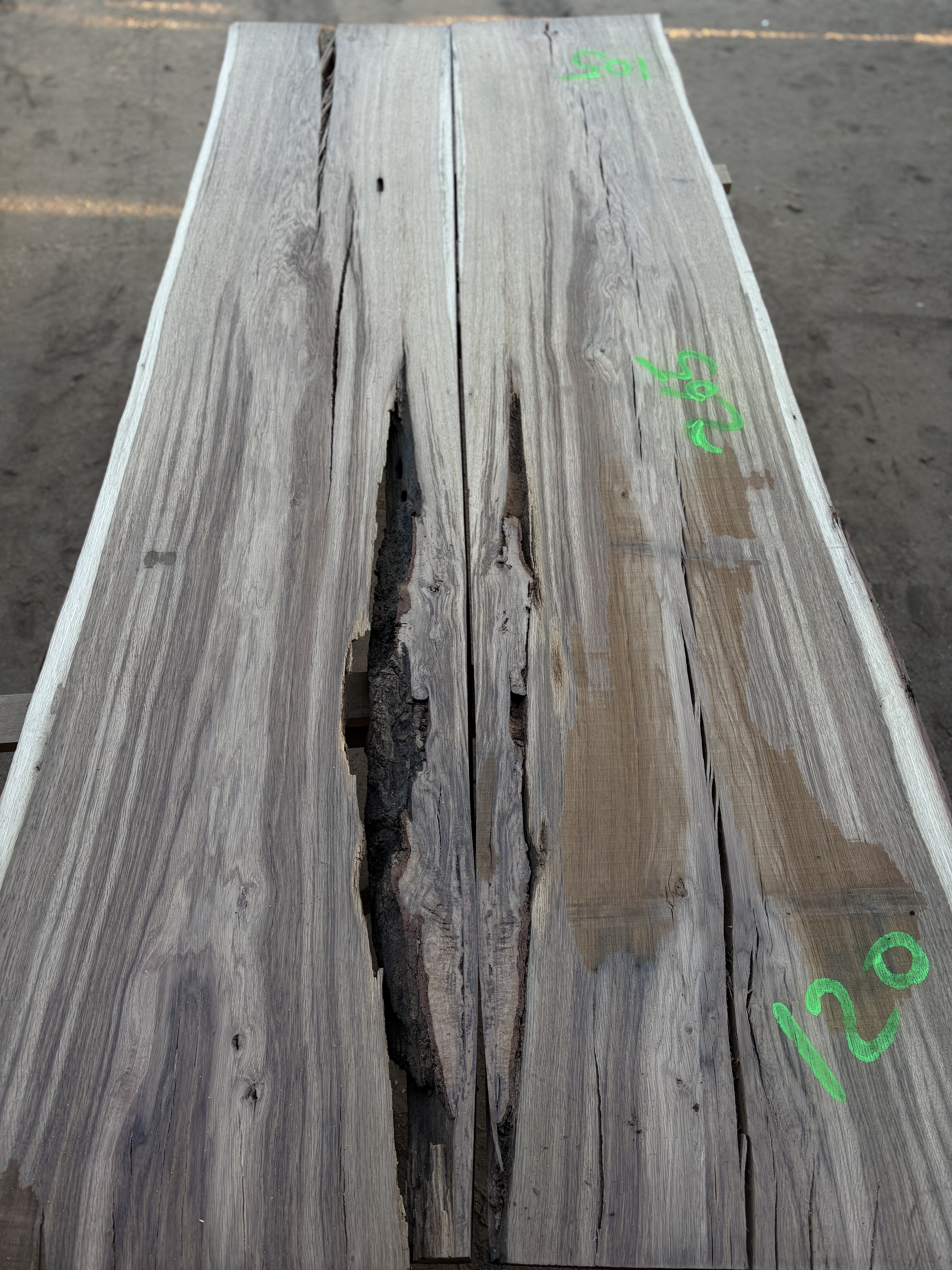 Oak - P13-1311