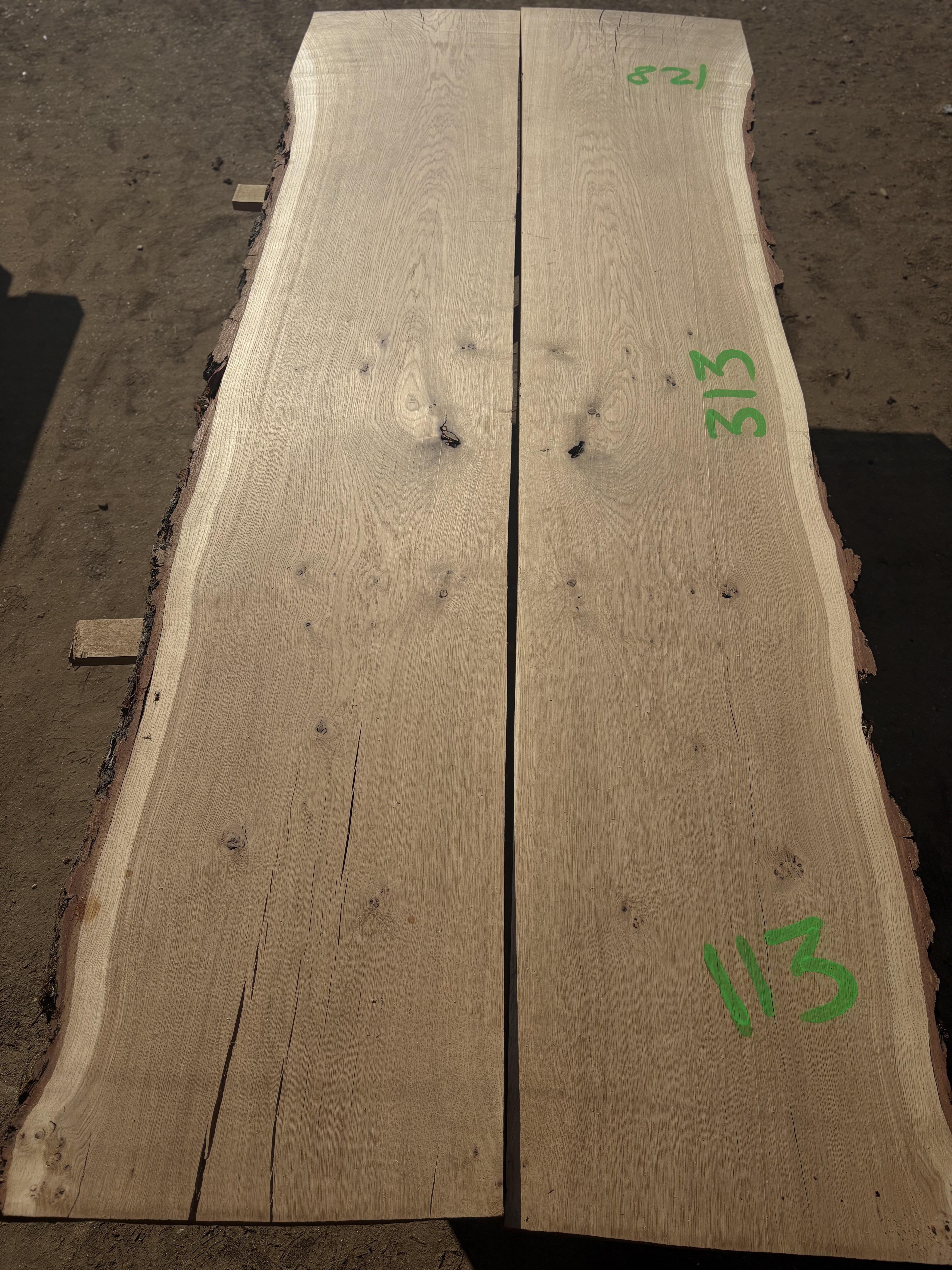 Oak - P10-1291