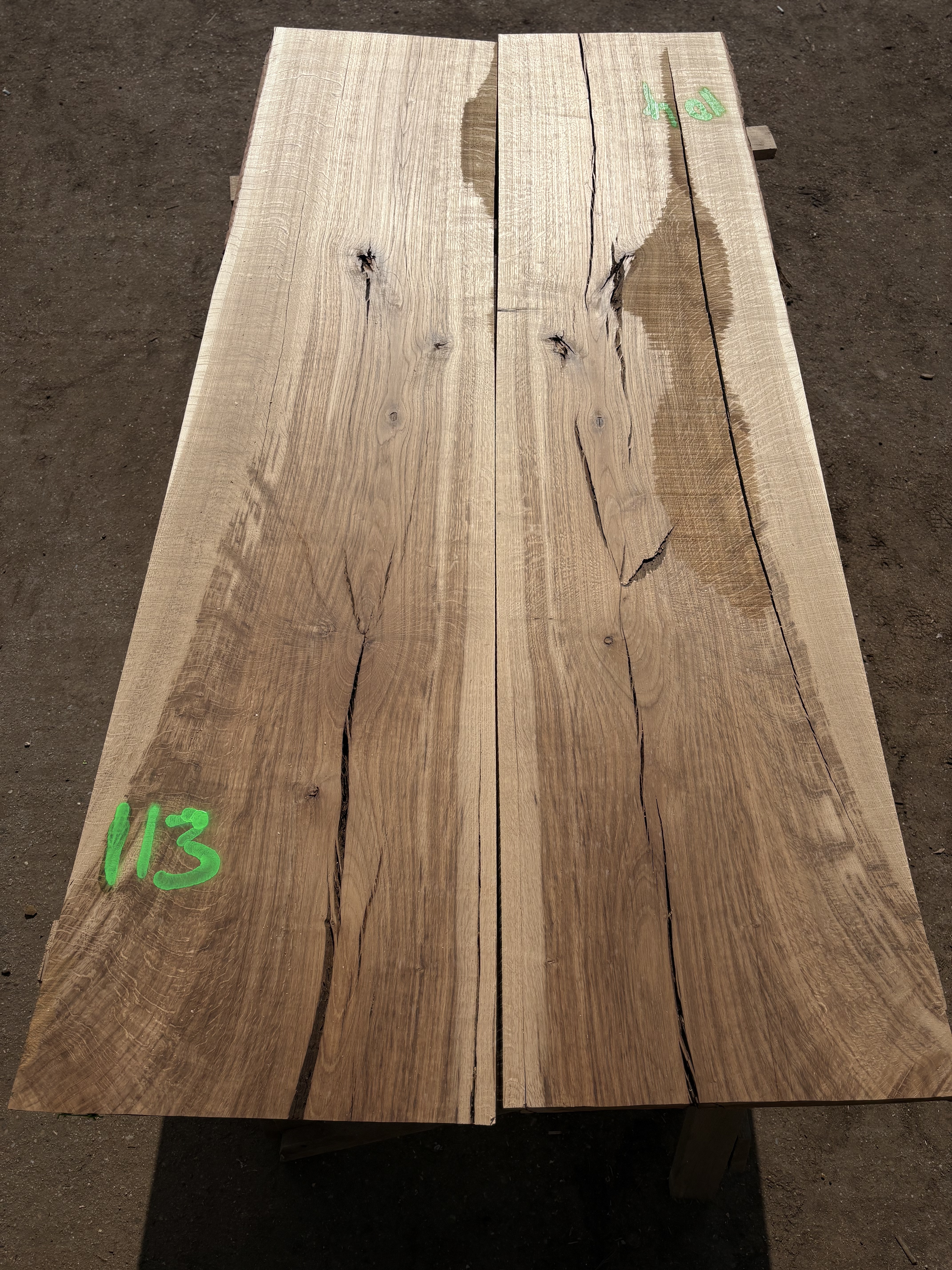 Oak - P5-1330