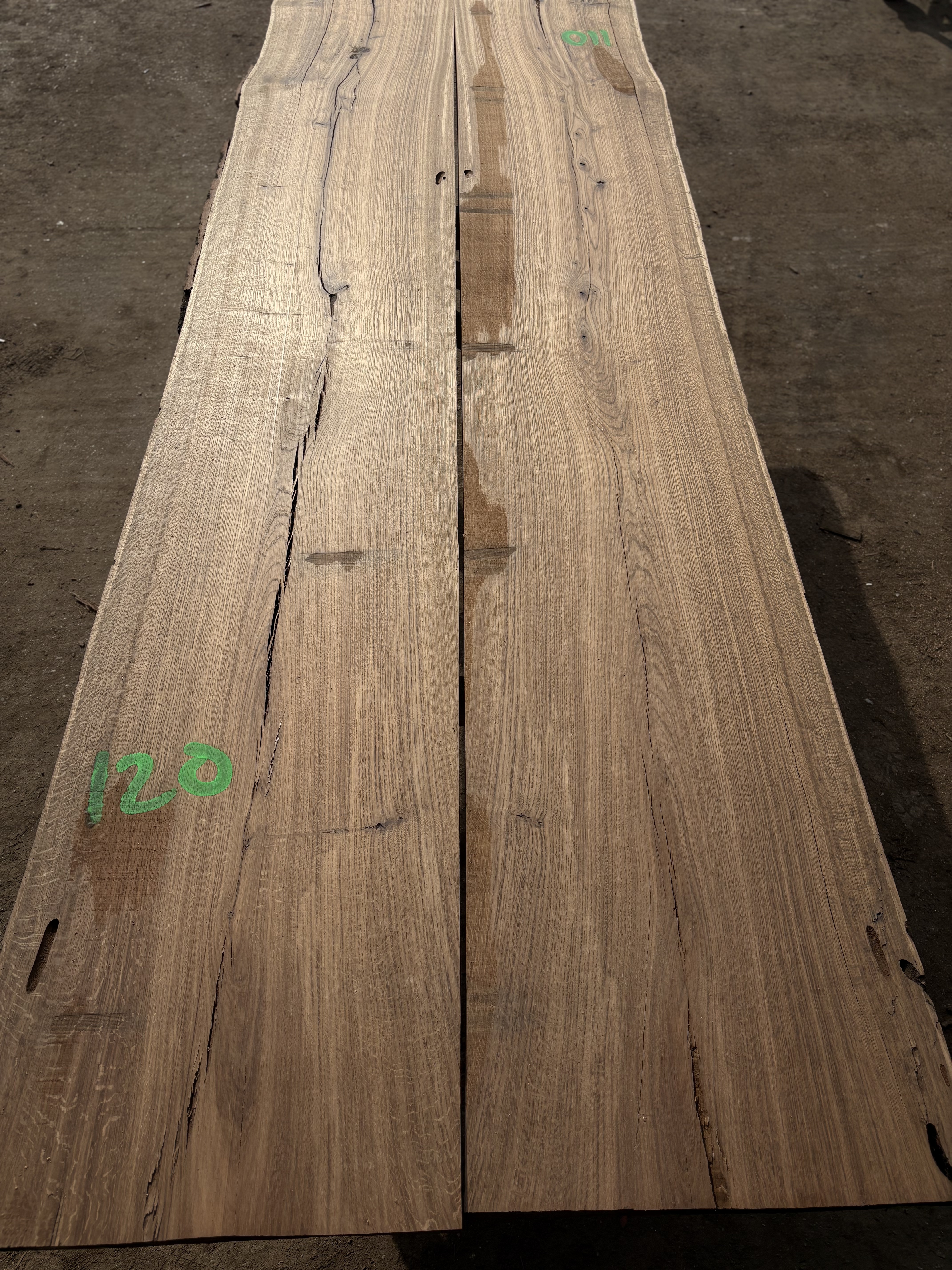 Oak - P2-1419