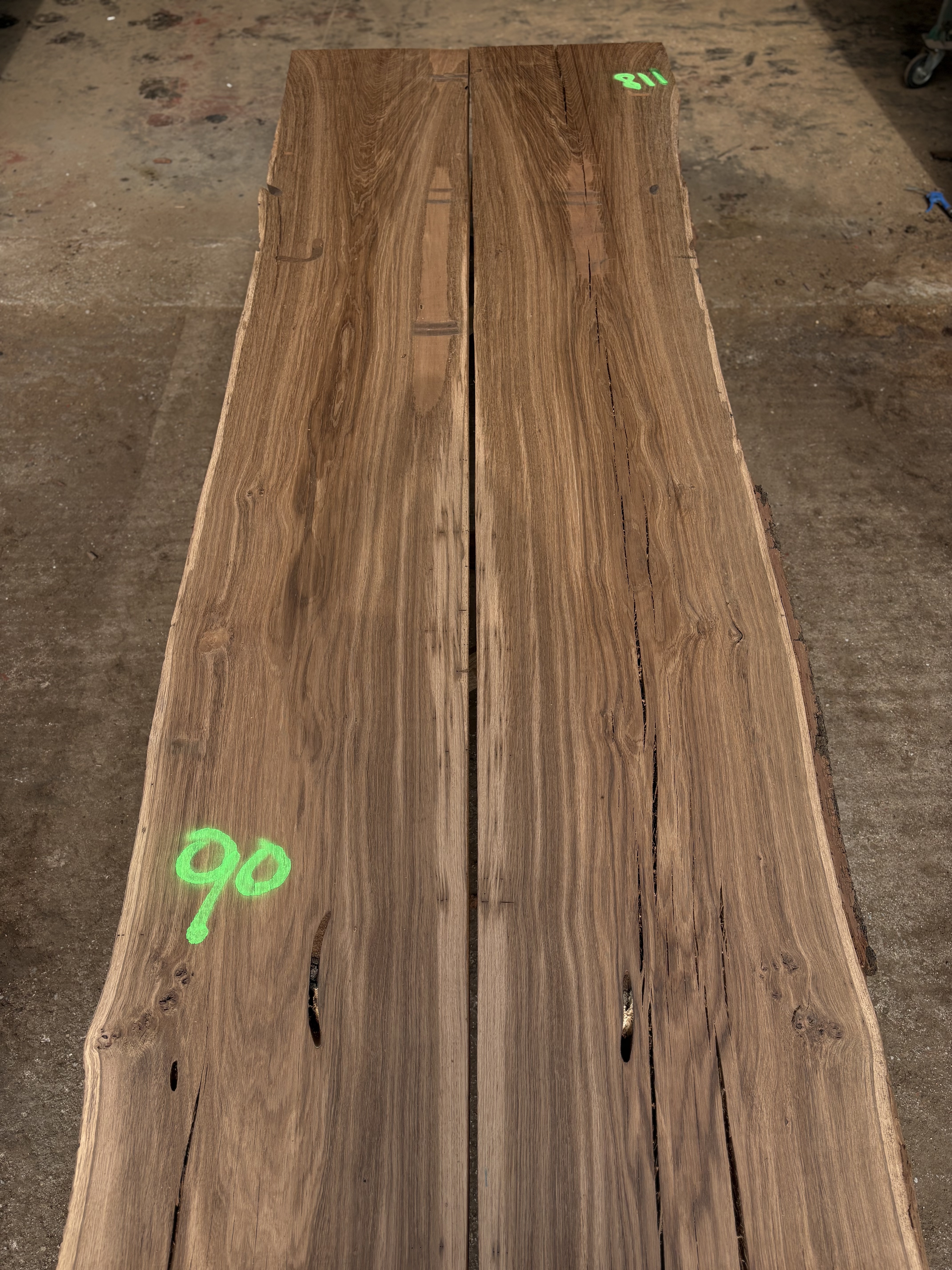 Oak - P2-1420