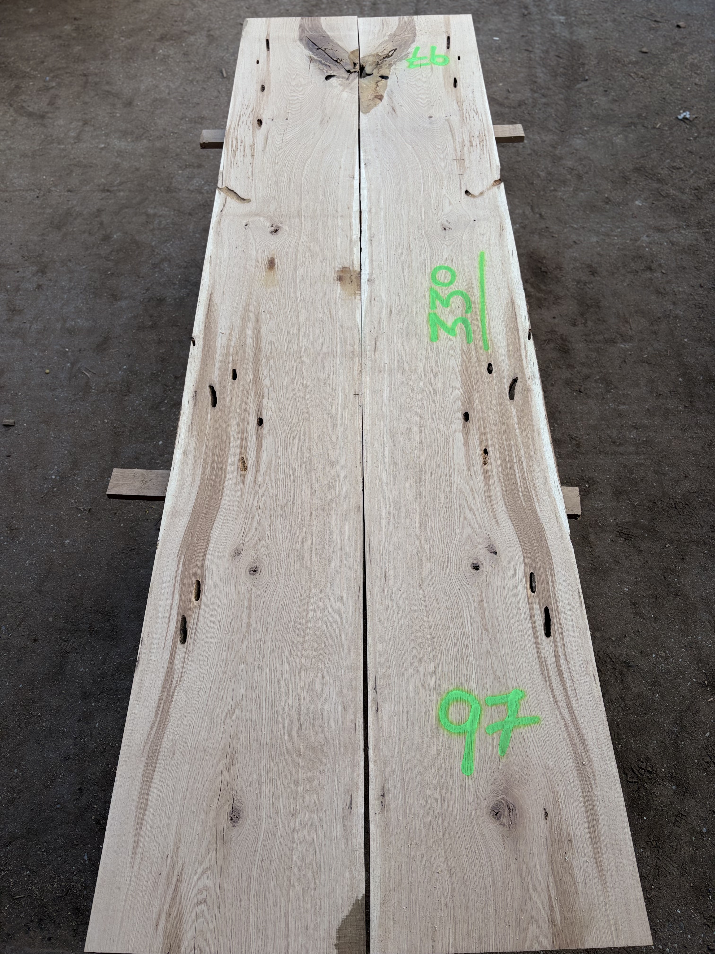 Oak - P7-1349