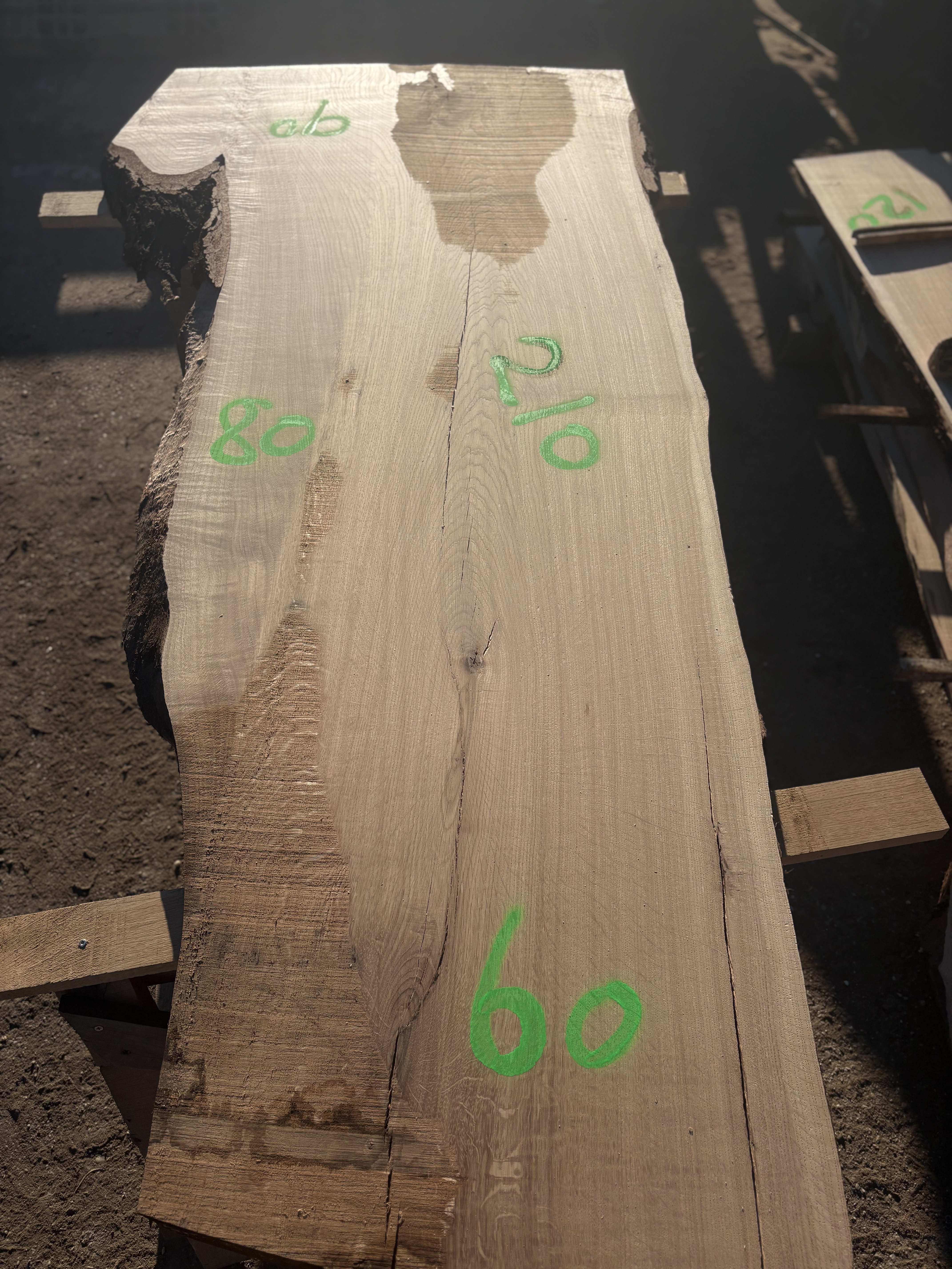 Oak - P3-1645