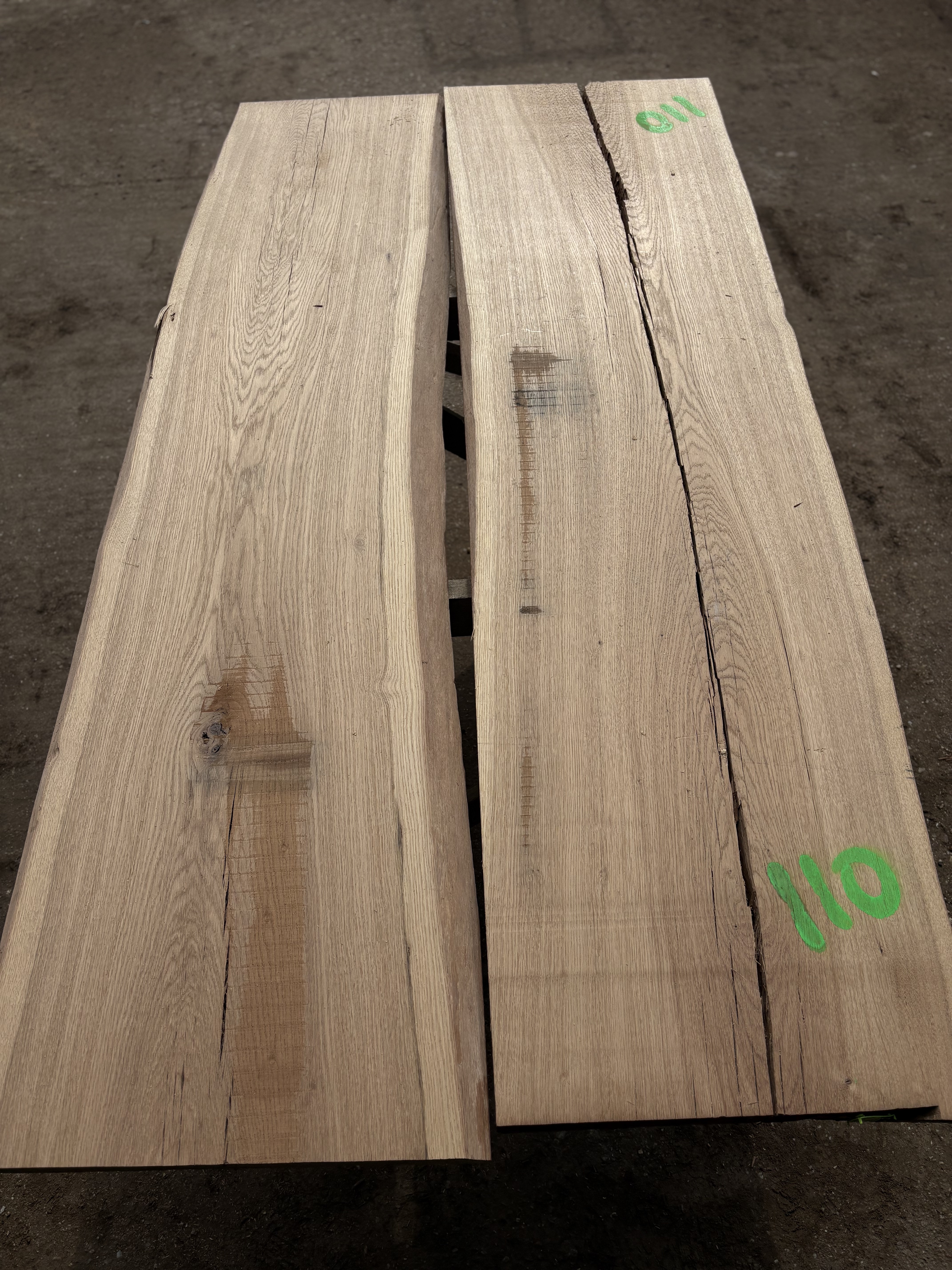 Oak - P2-1422