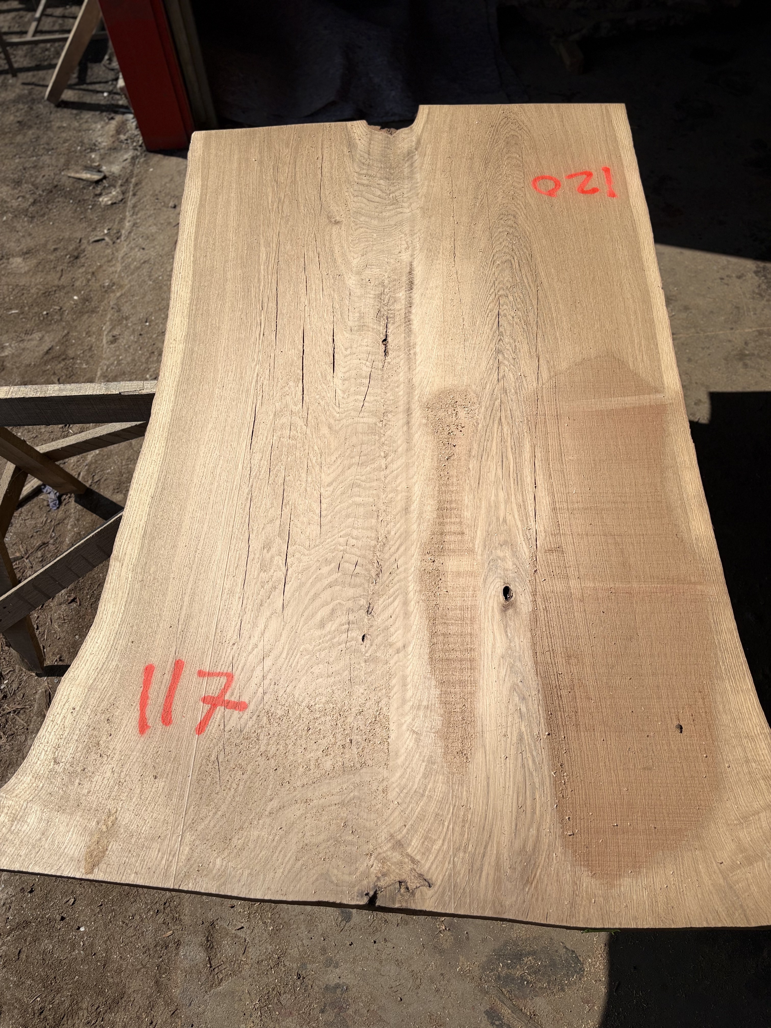 Oak - P1-1407