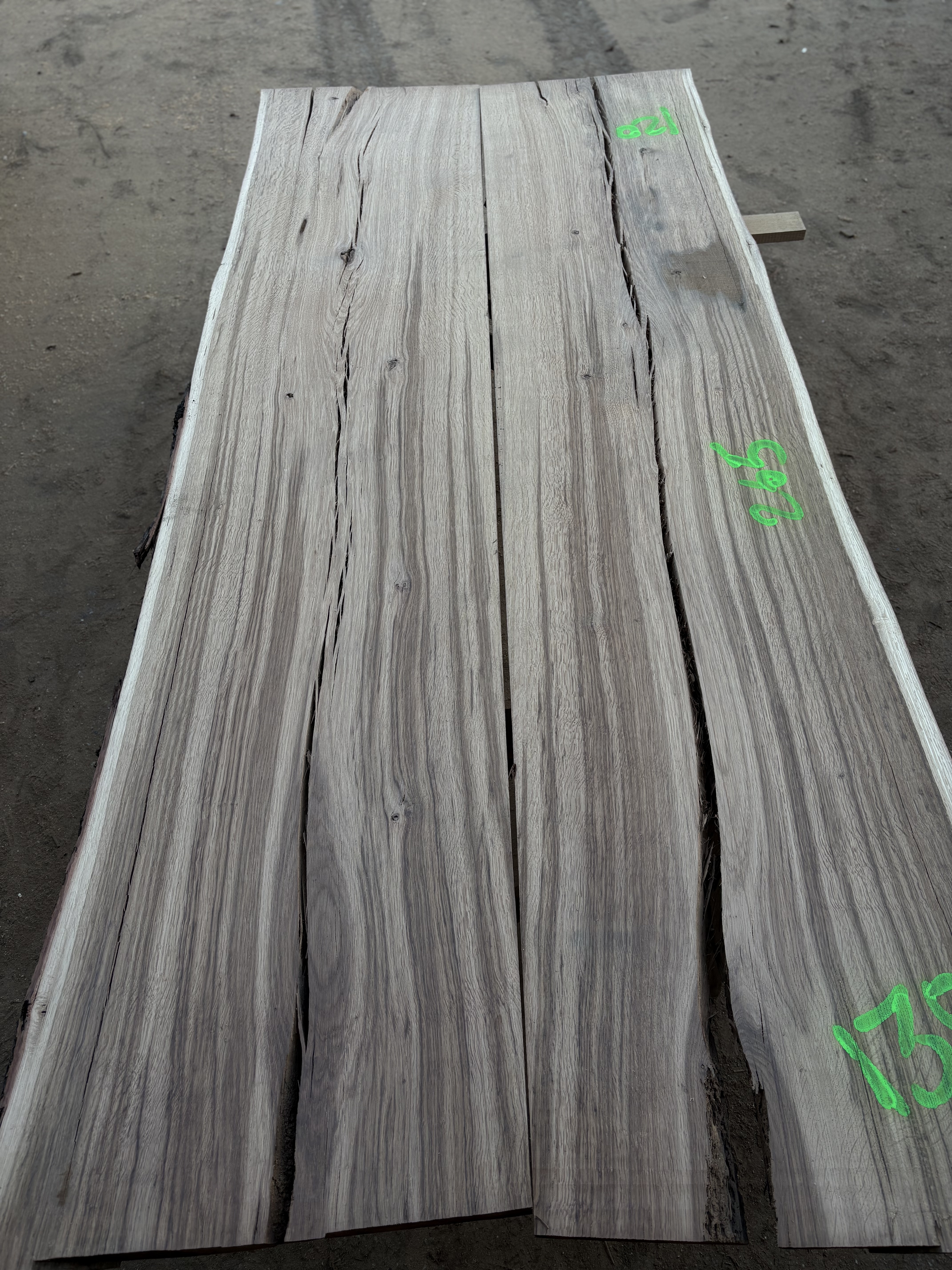 Oak - P13-1312