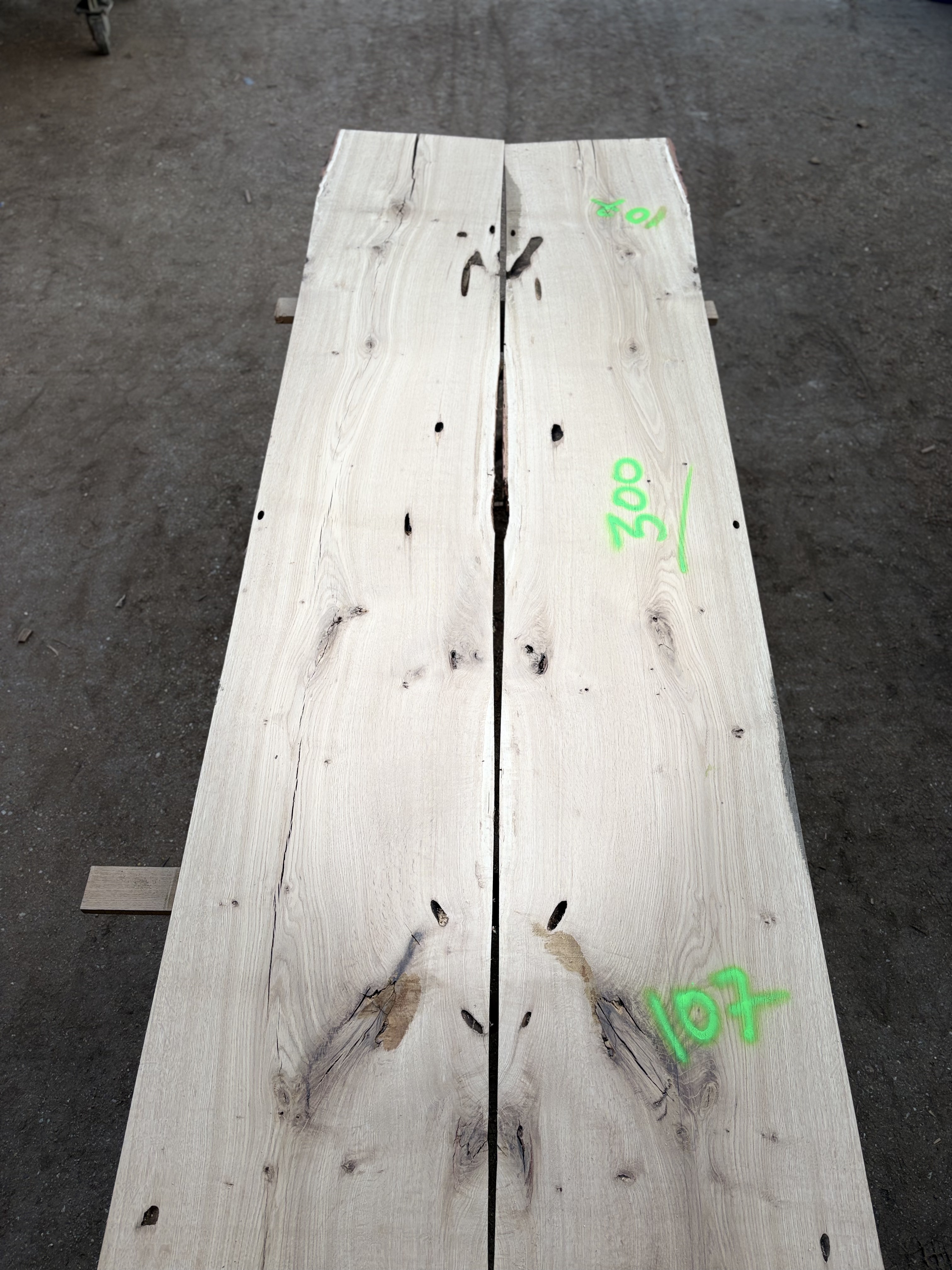 Oak - P7-1351