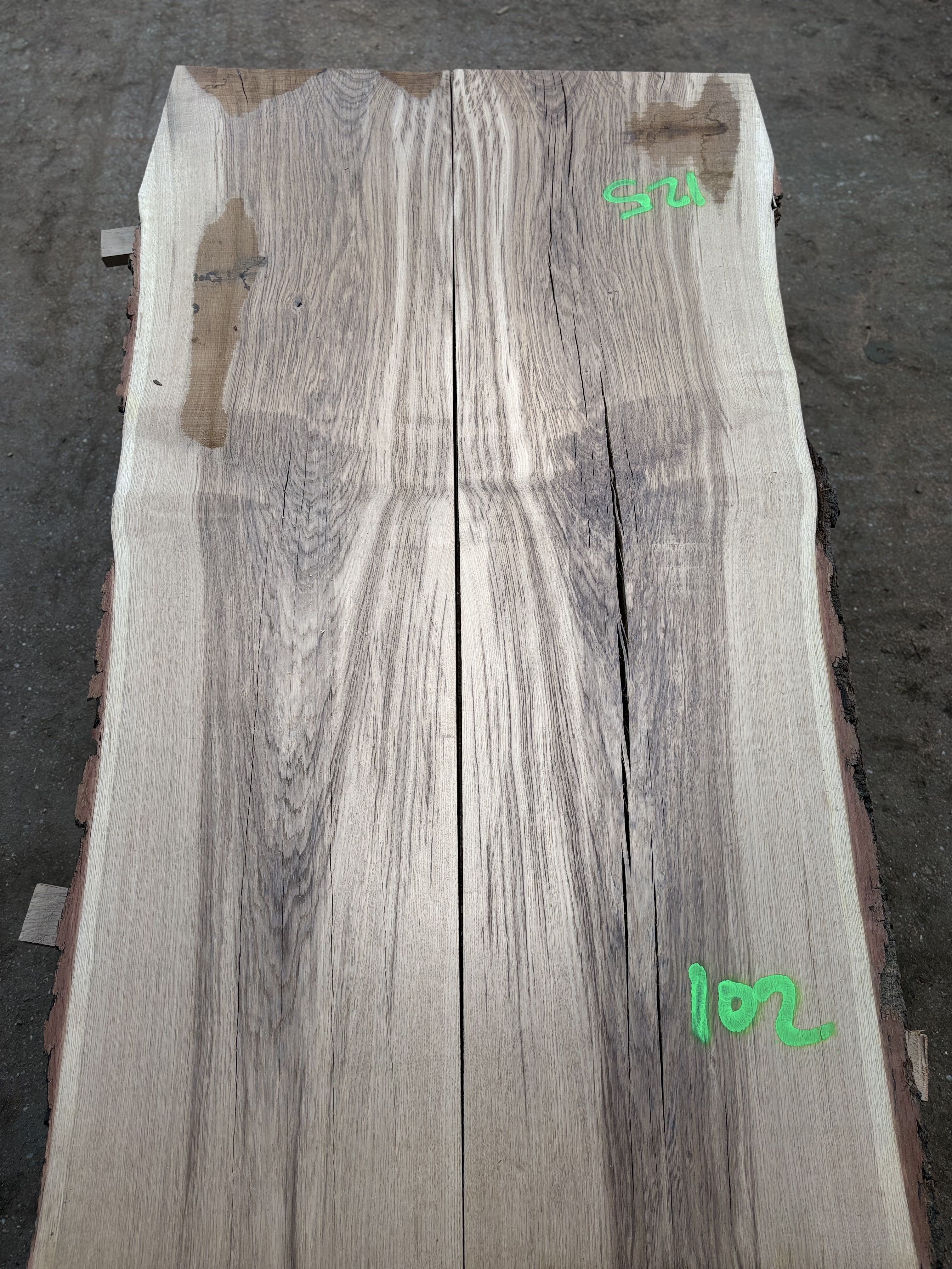 Oak - P4-1436