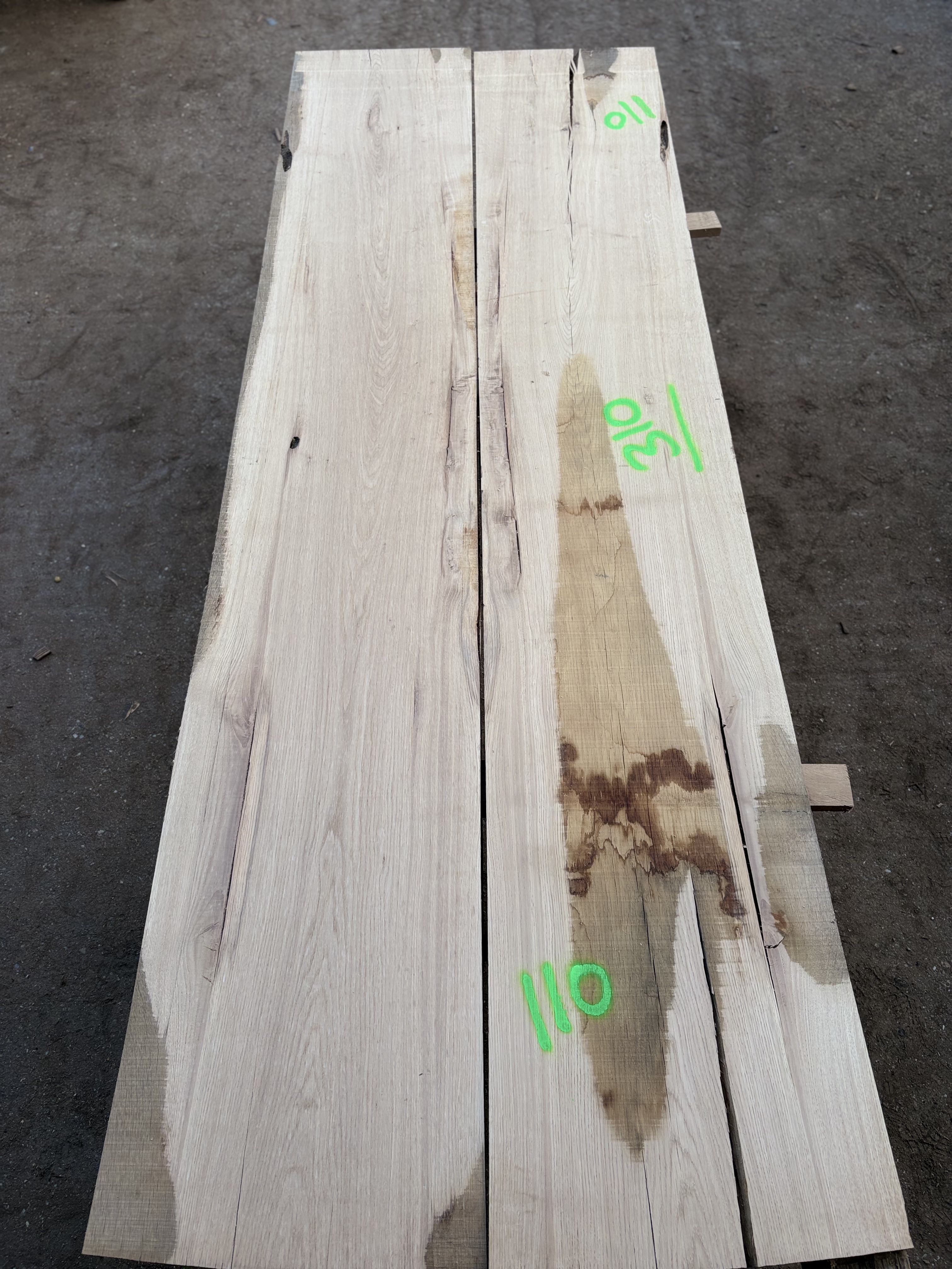 Oak - P7-1350