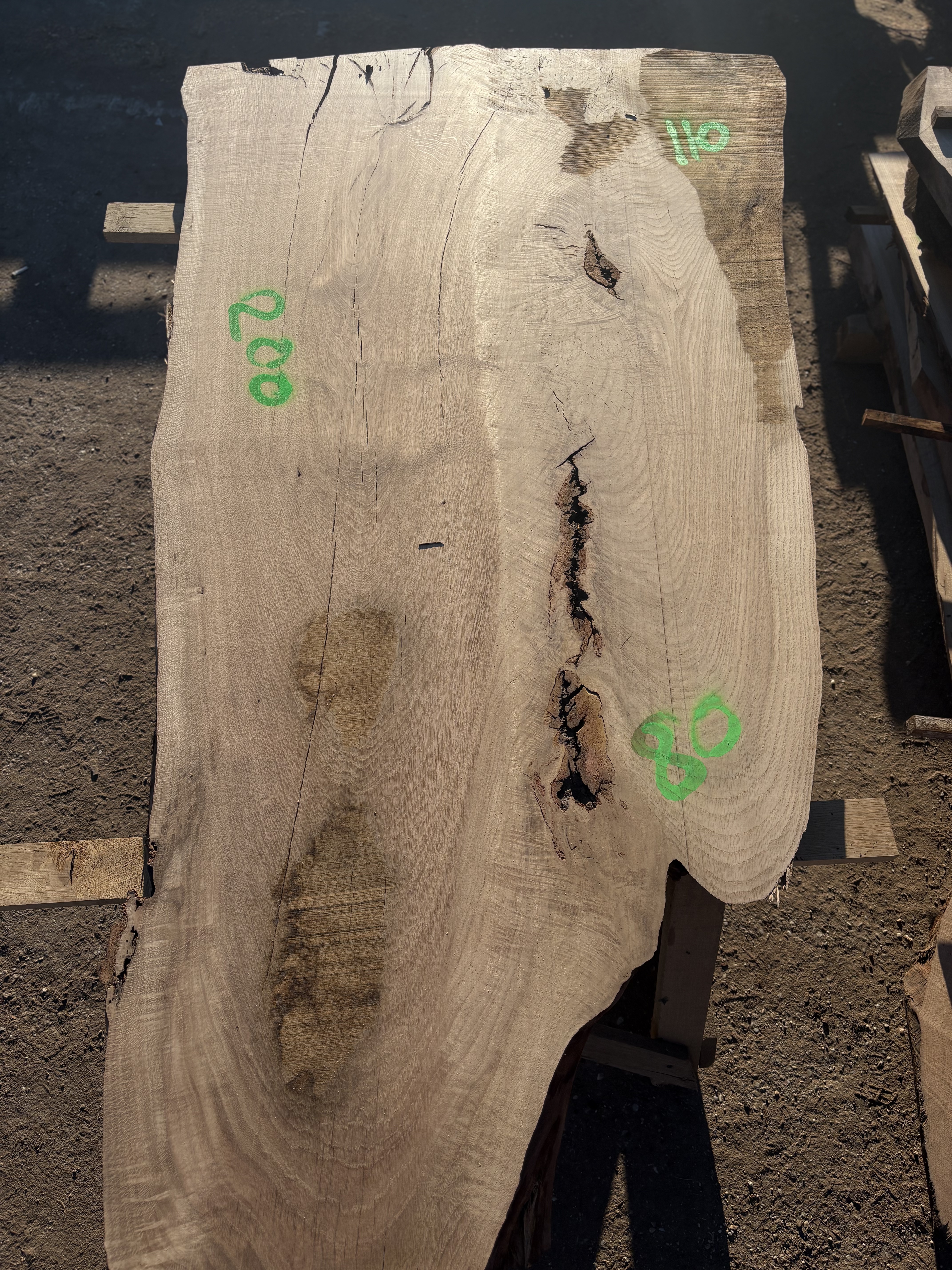 Oak - P3-1674