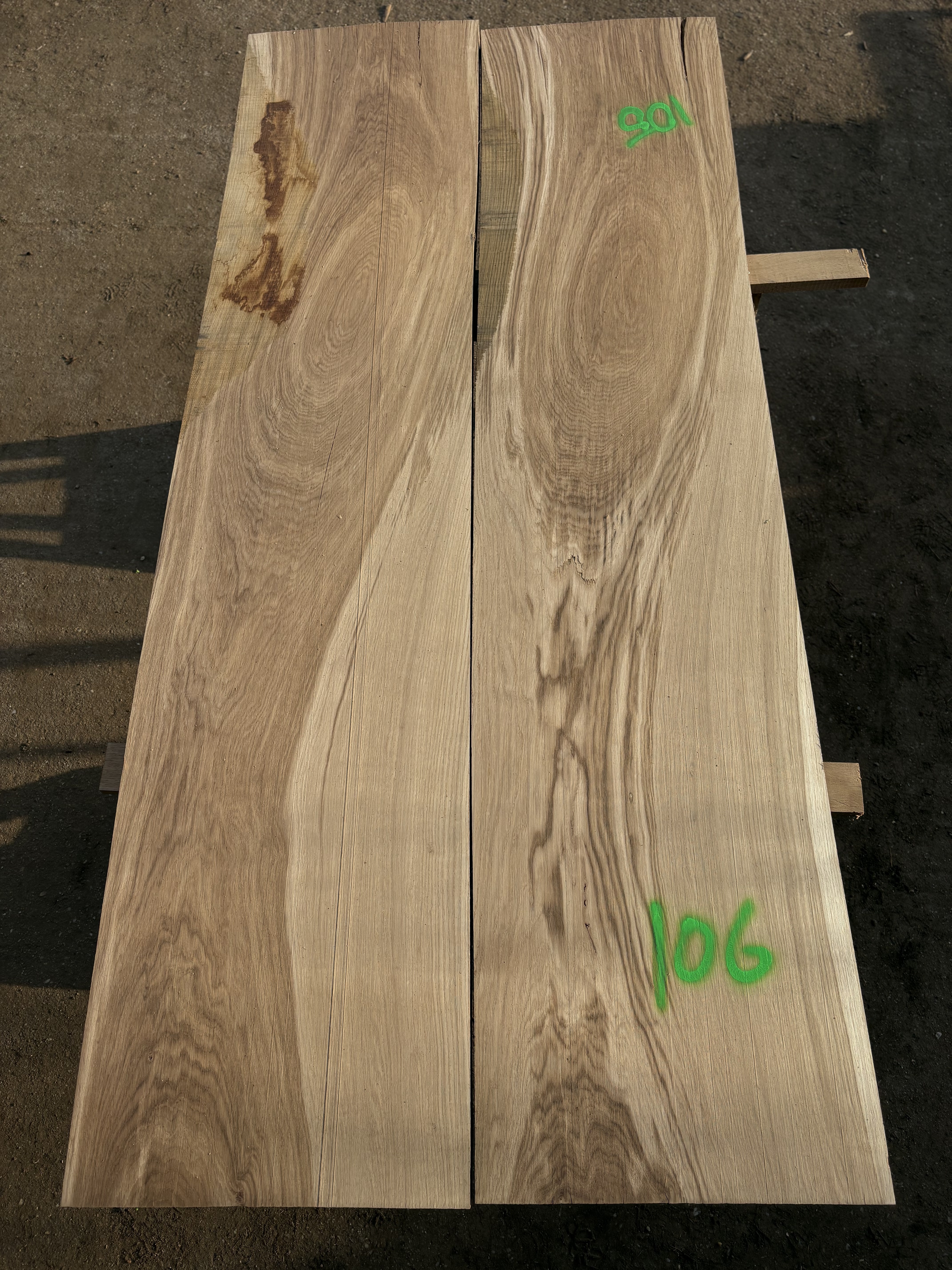Oak - P6-1344