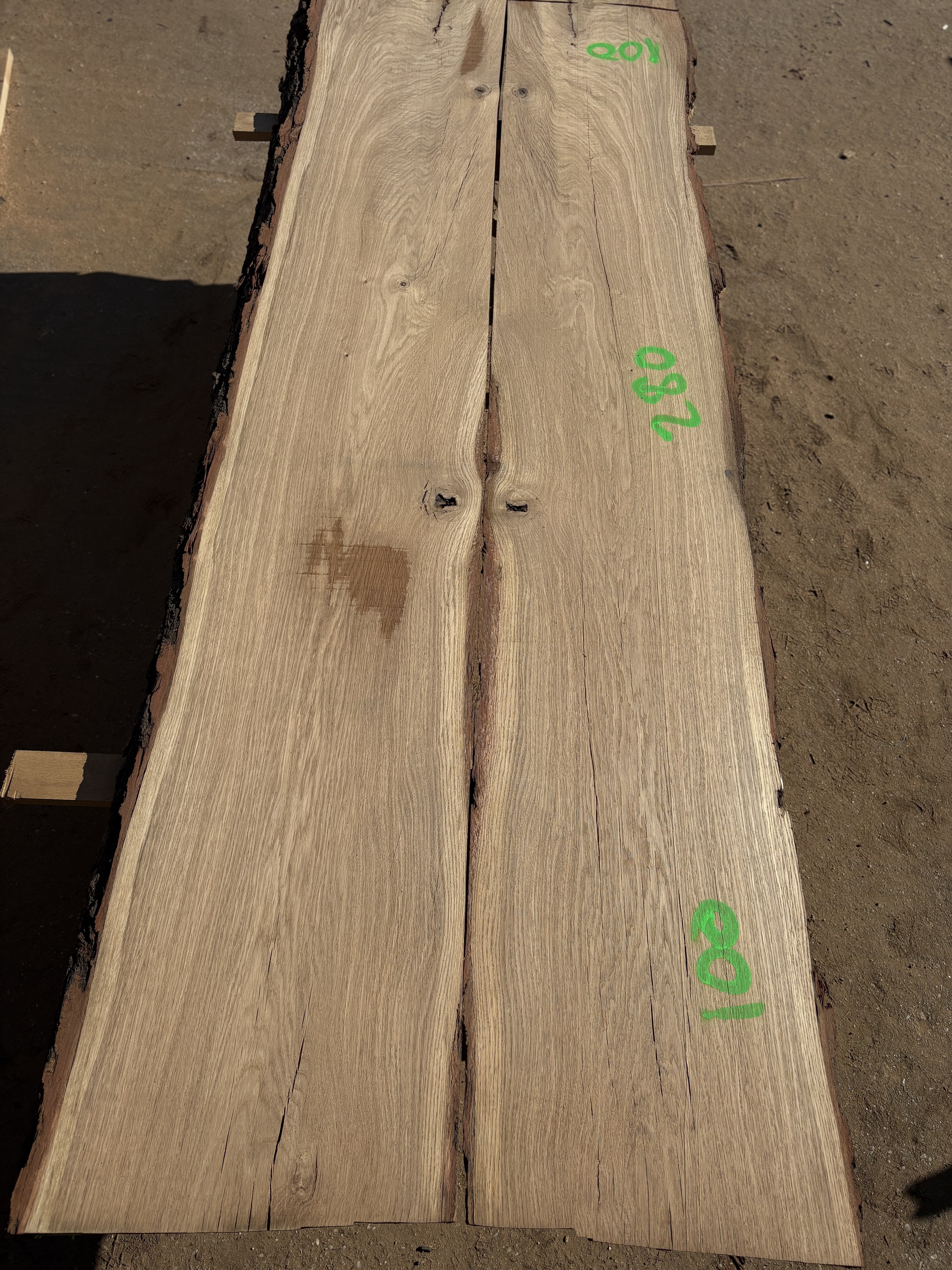 Oak - P12-1303