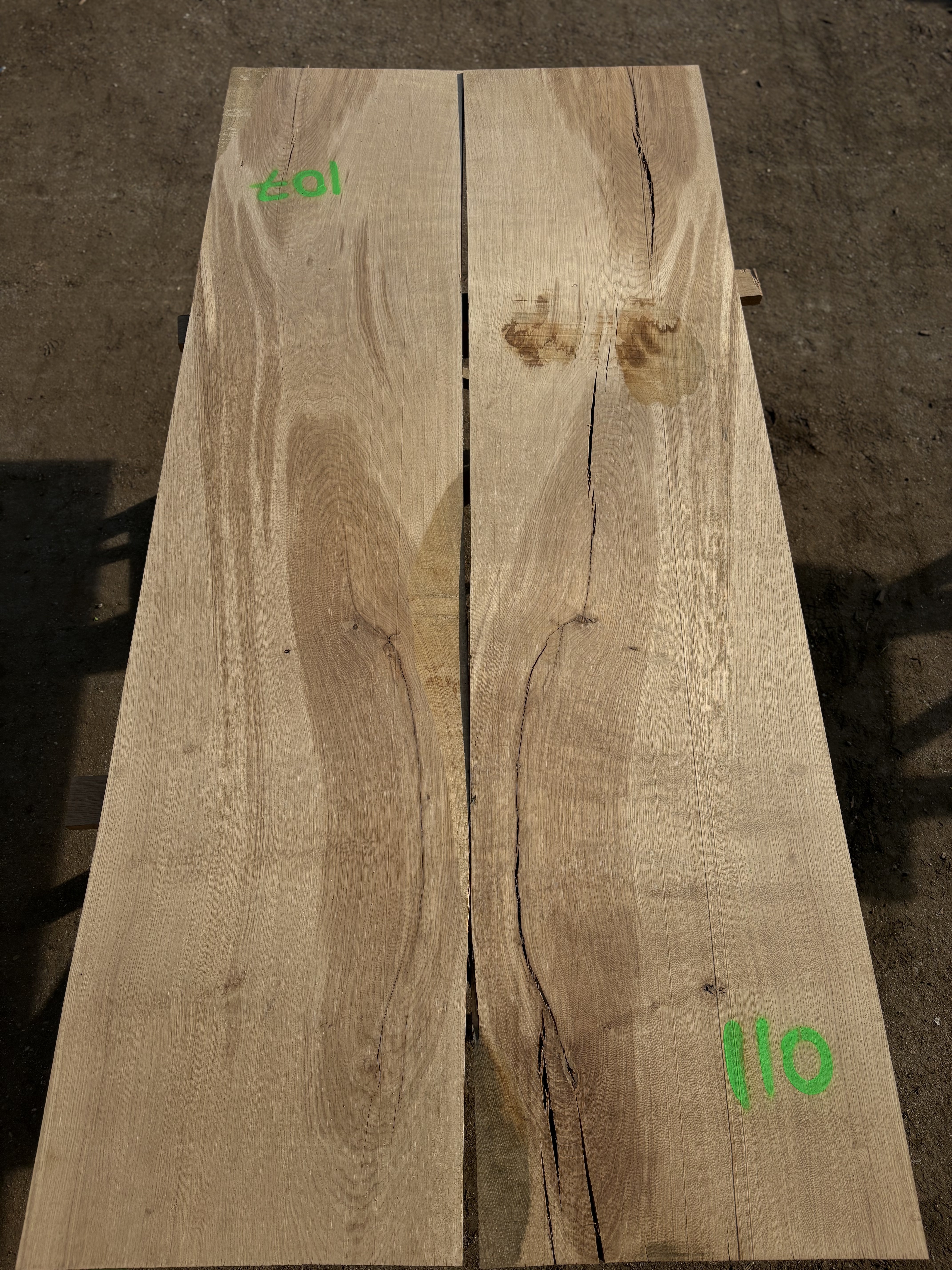 Oak - P6-1341